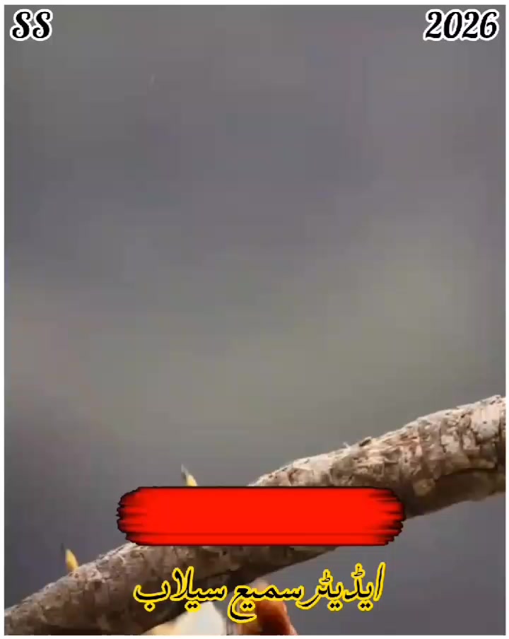 @꧁༺𝐬𝐚𝐦𝐢 𝐬𝐞𝐥𝐚𝐛༻꧂