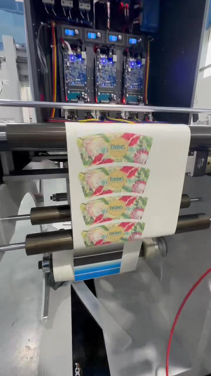 @Foofon SinglePass printer Tech