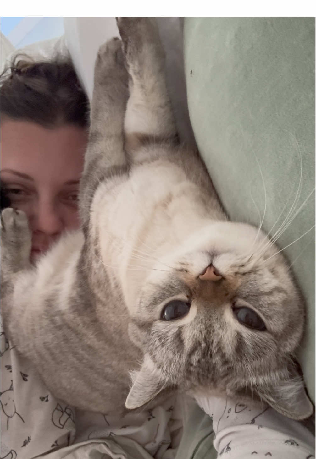 @penka_and_kittens