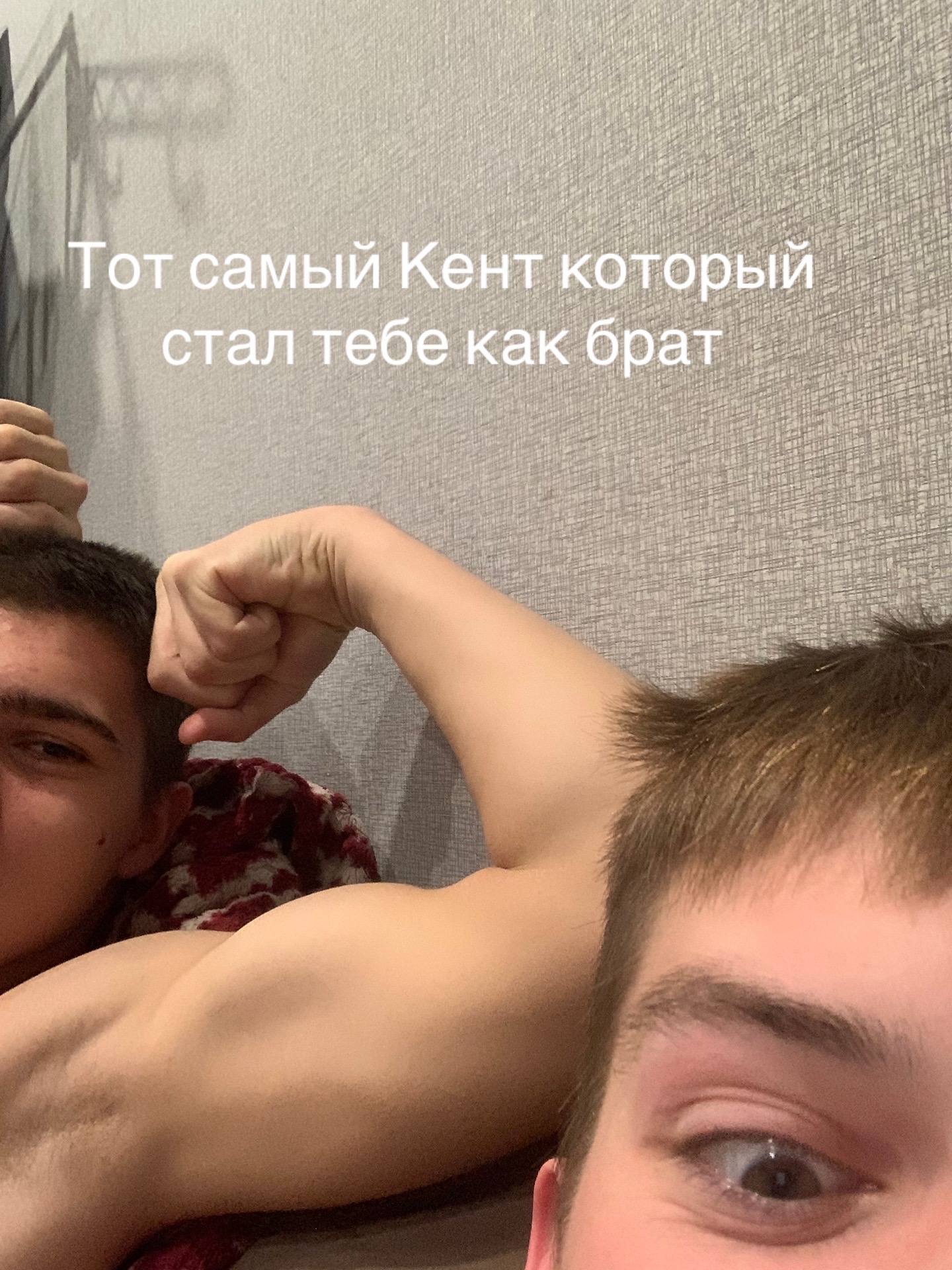 @Котики
