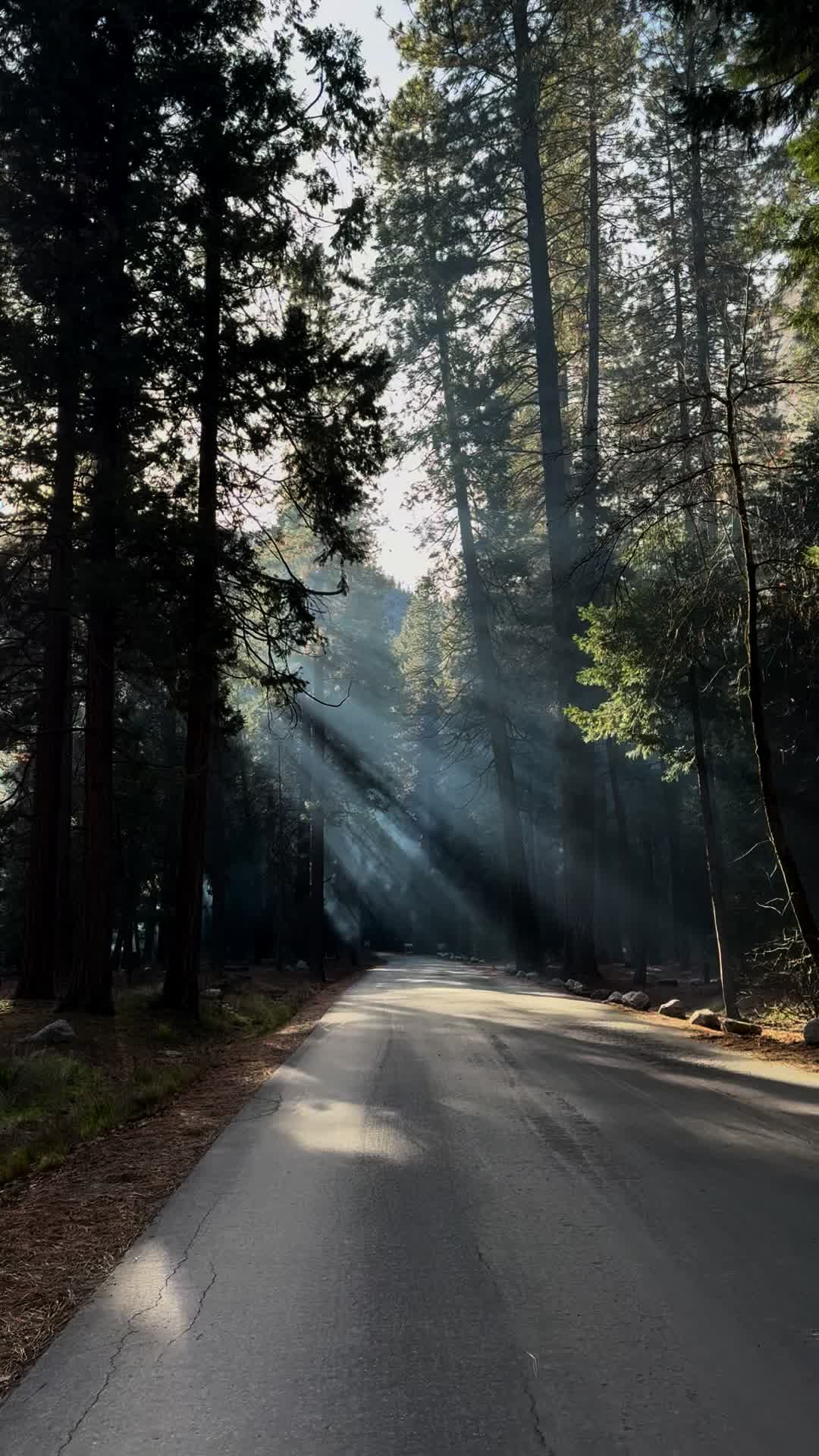 @𝓔𝓼𝓽𝓮𝓯𝓪𝓷𝓲𝓪❀
