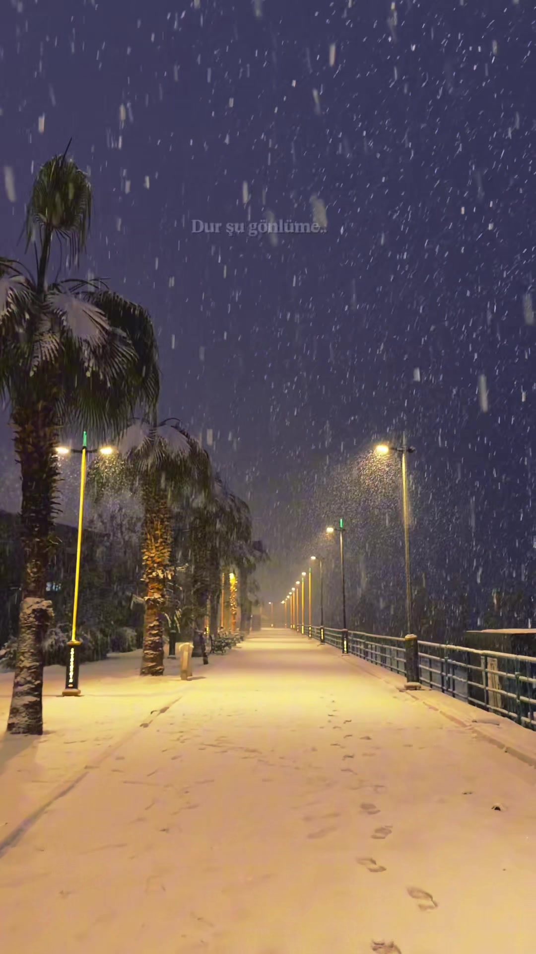 @Eşref Arıkan