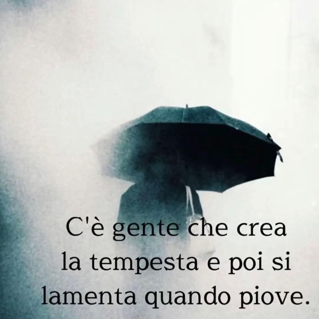 @rosariorizzolo578