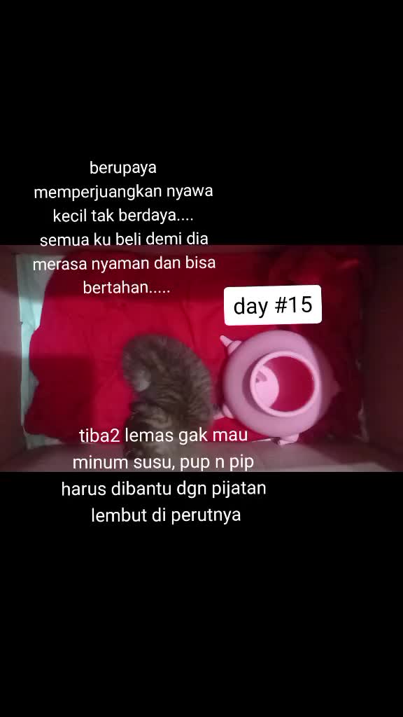 @apfia mei