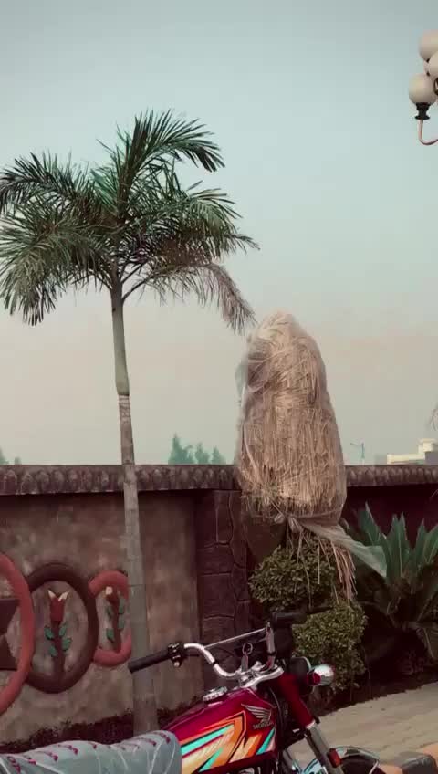 @ミ★ 𝘔𝘳 𝘴𝘢𝘩𝘪𝘣 ★彡