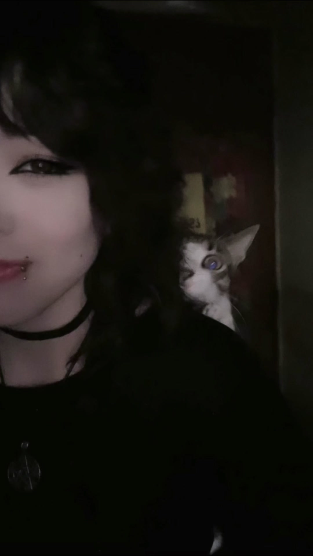 @⭒NyxHaven666⭒