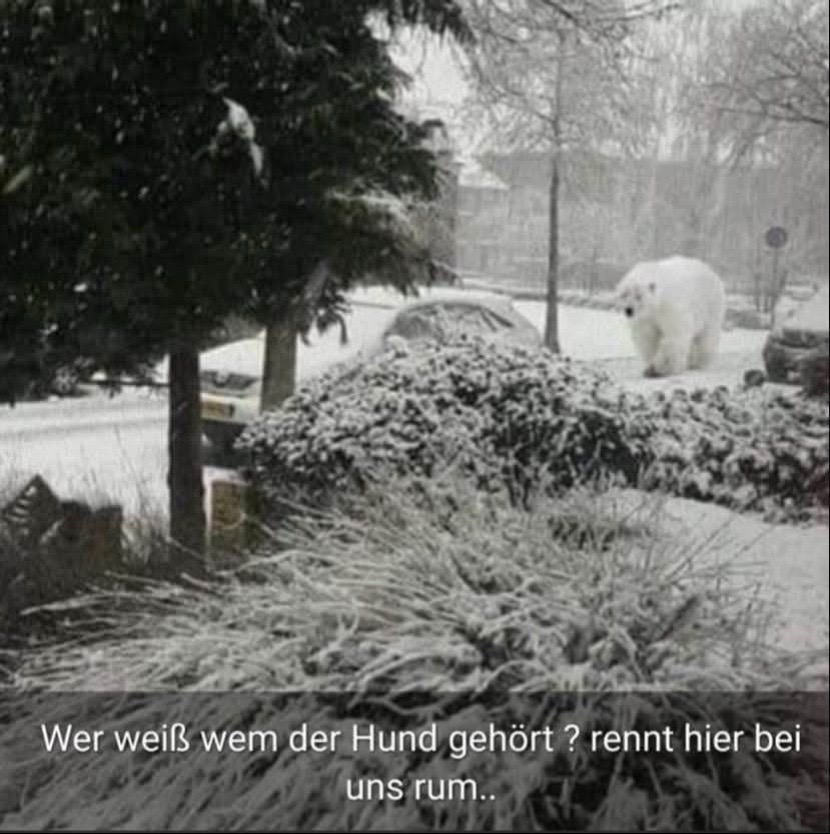 @Pipi Langstrumpf