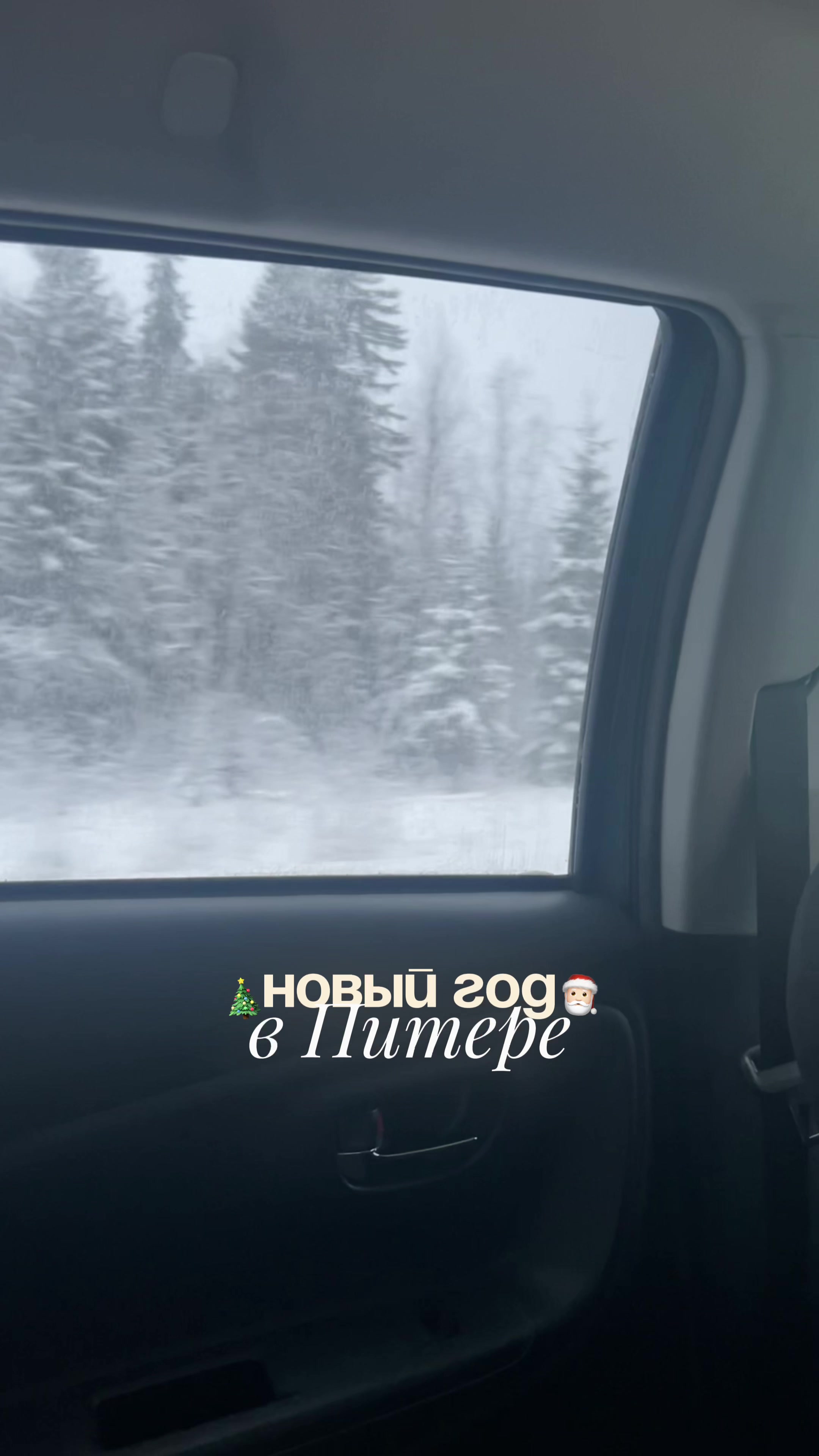 @кудряшка мари