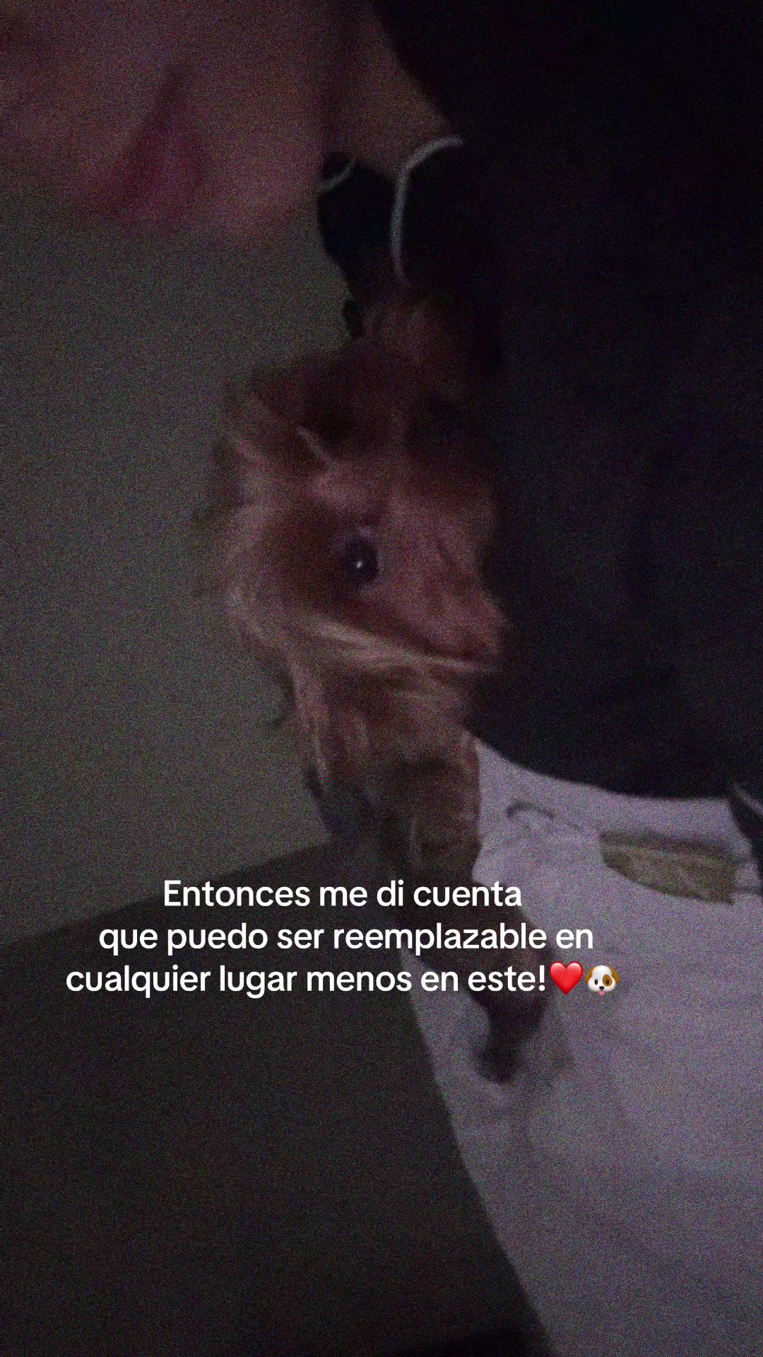 @María