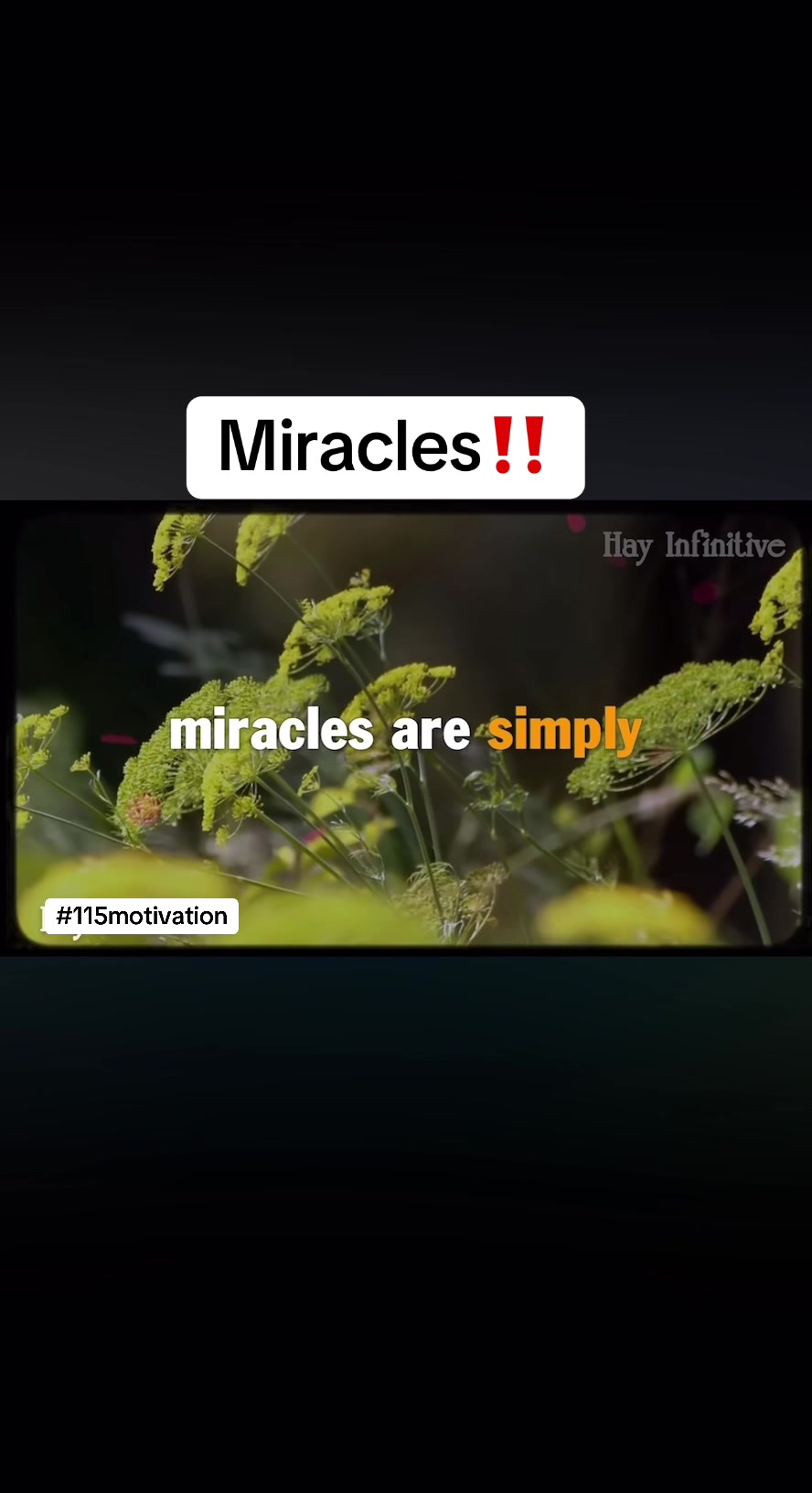 @mike115motivation
