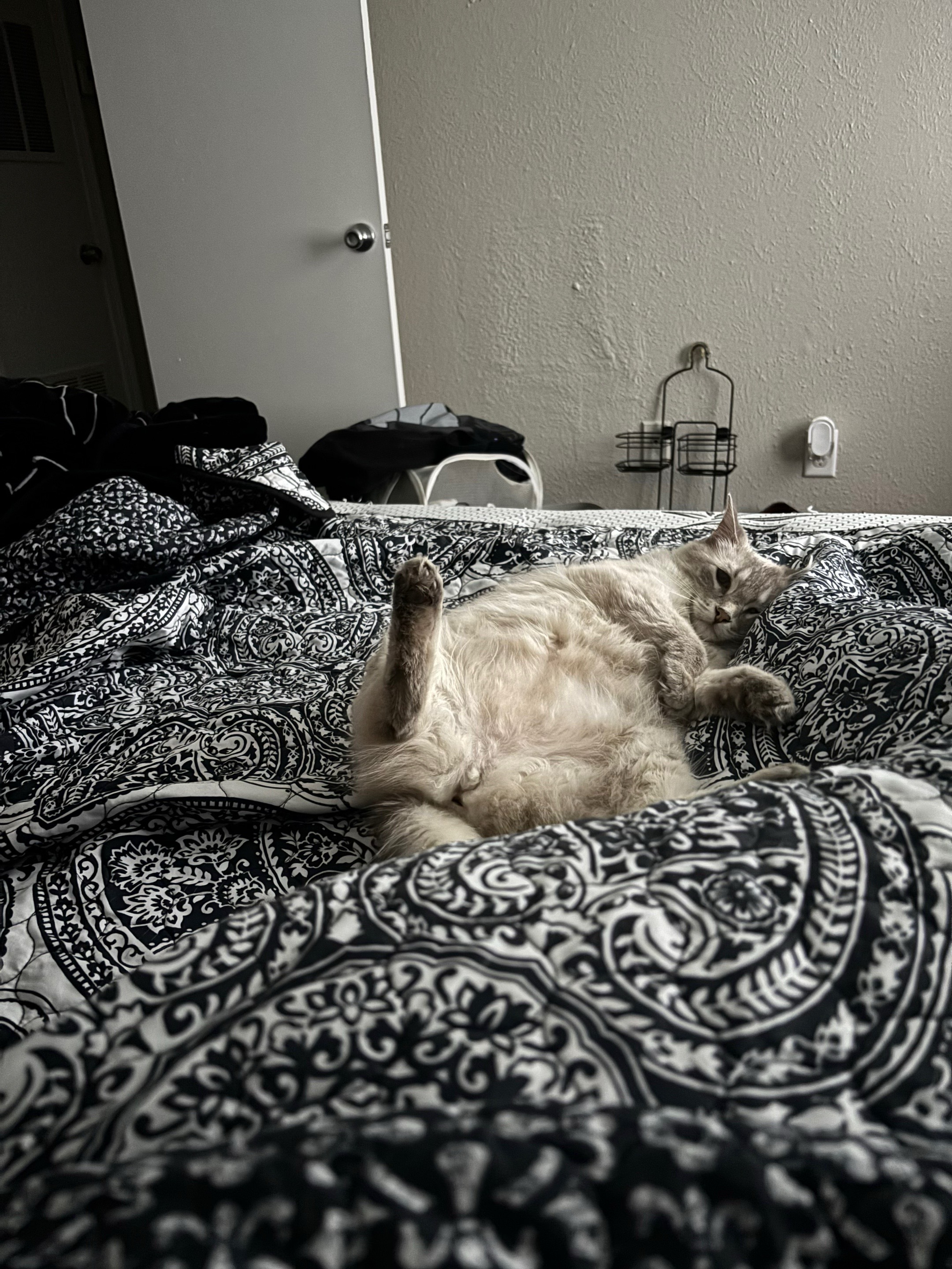 @<3