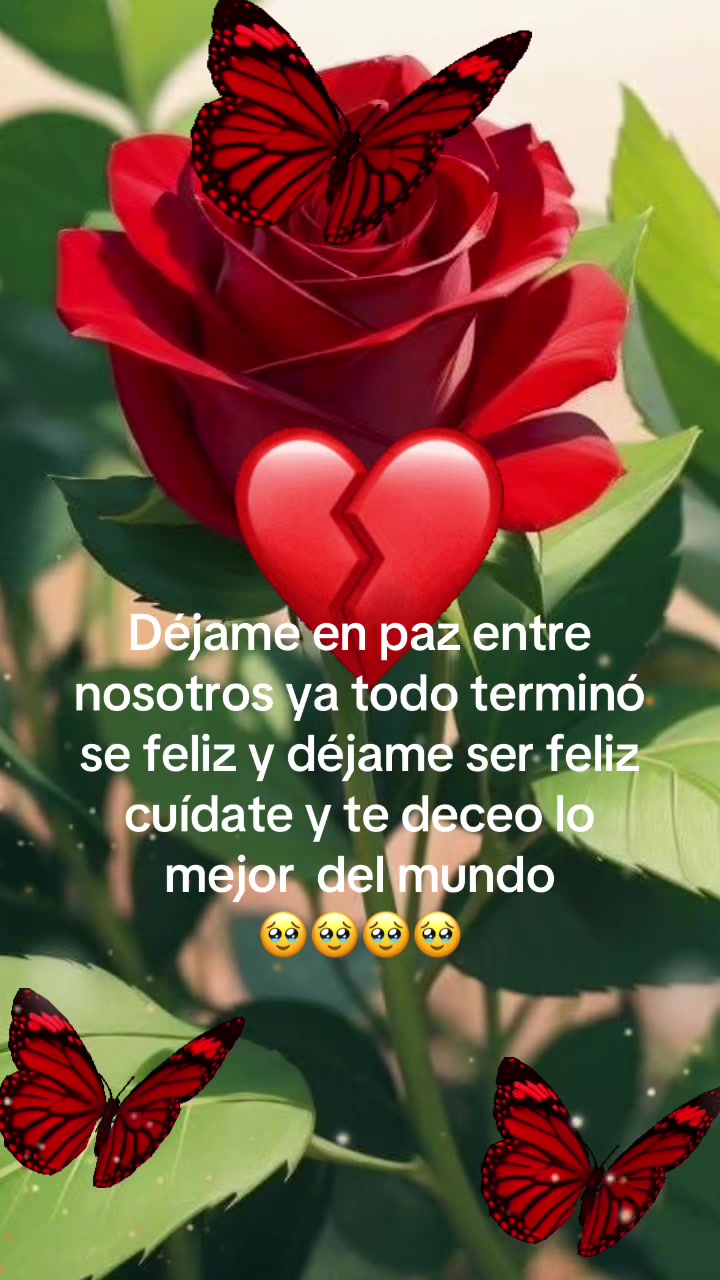 @LILI🥰VEL&Aacute;ZQUEZ🥰🥰