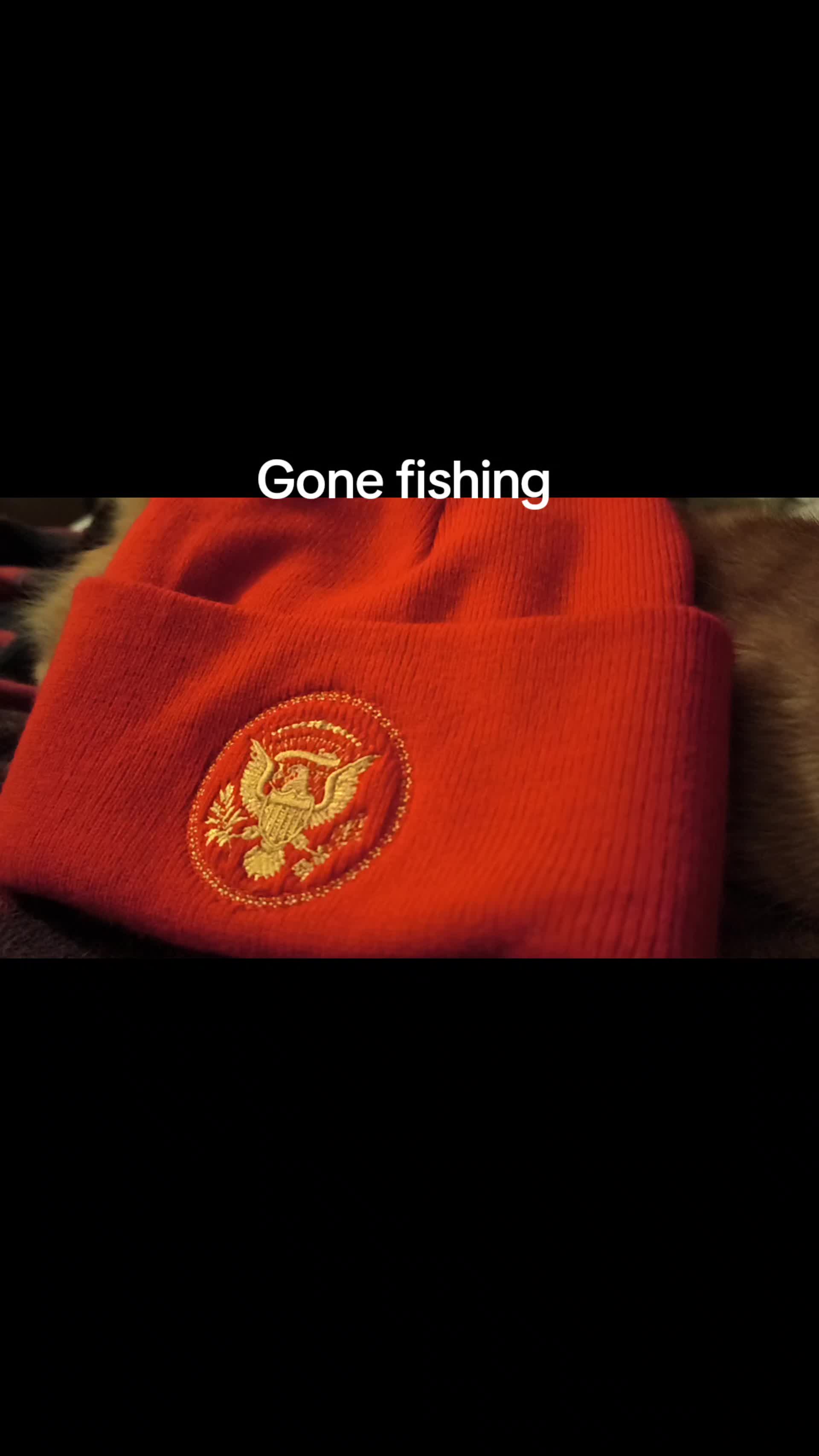 @Oskarcats