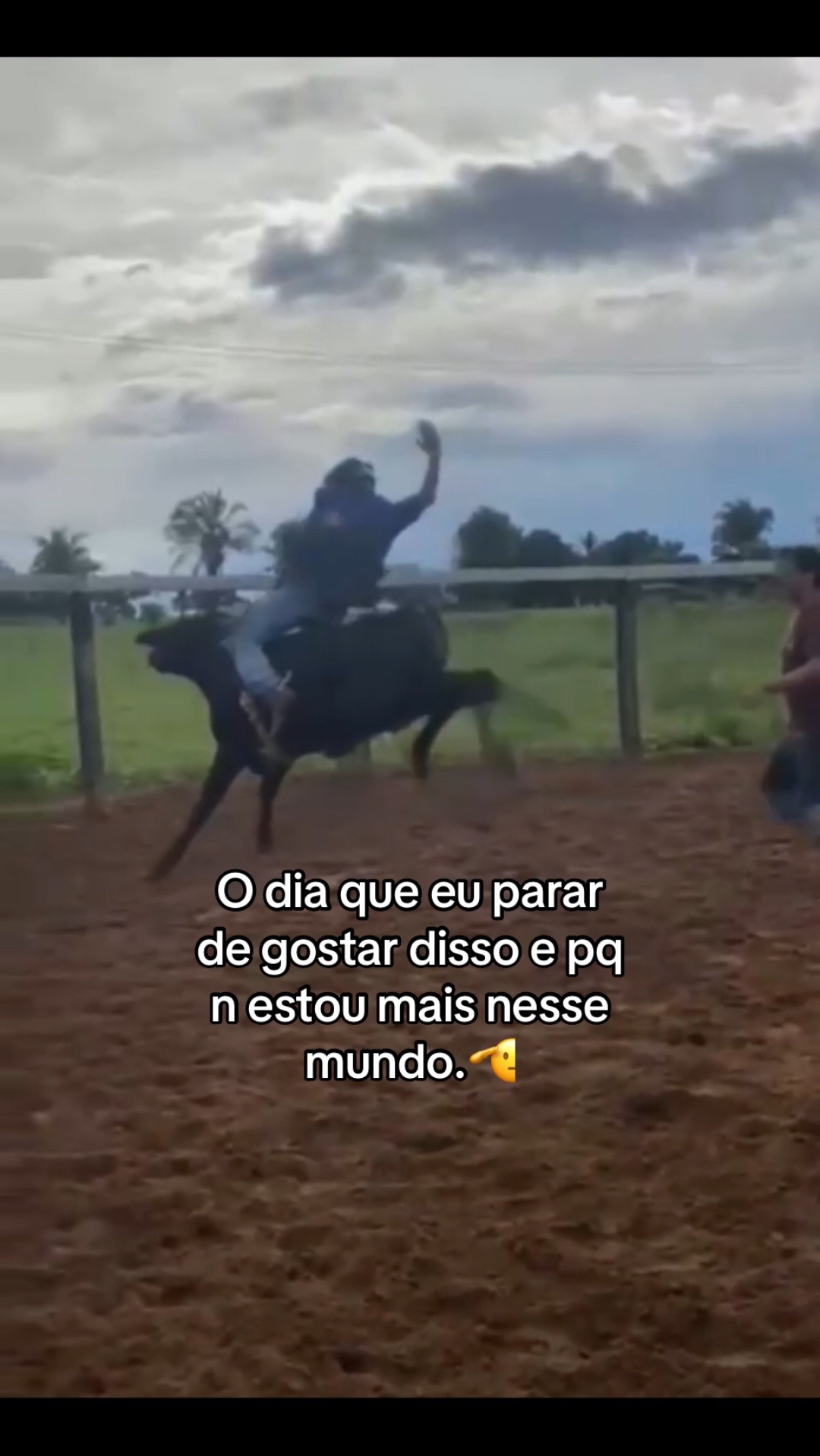@andr&eacute;🪶