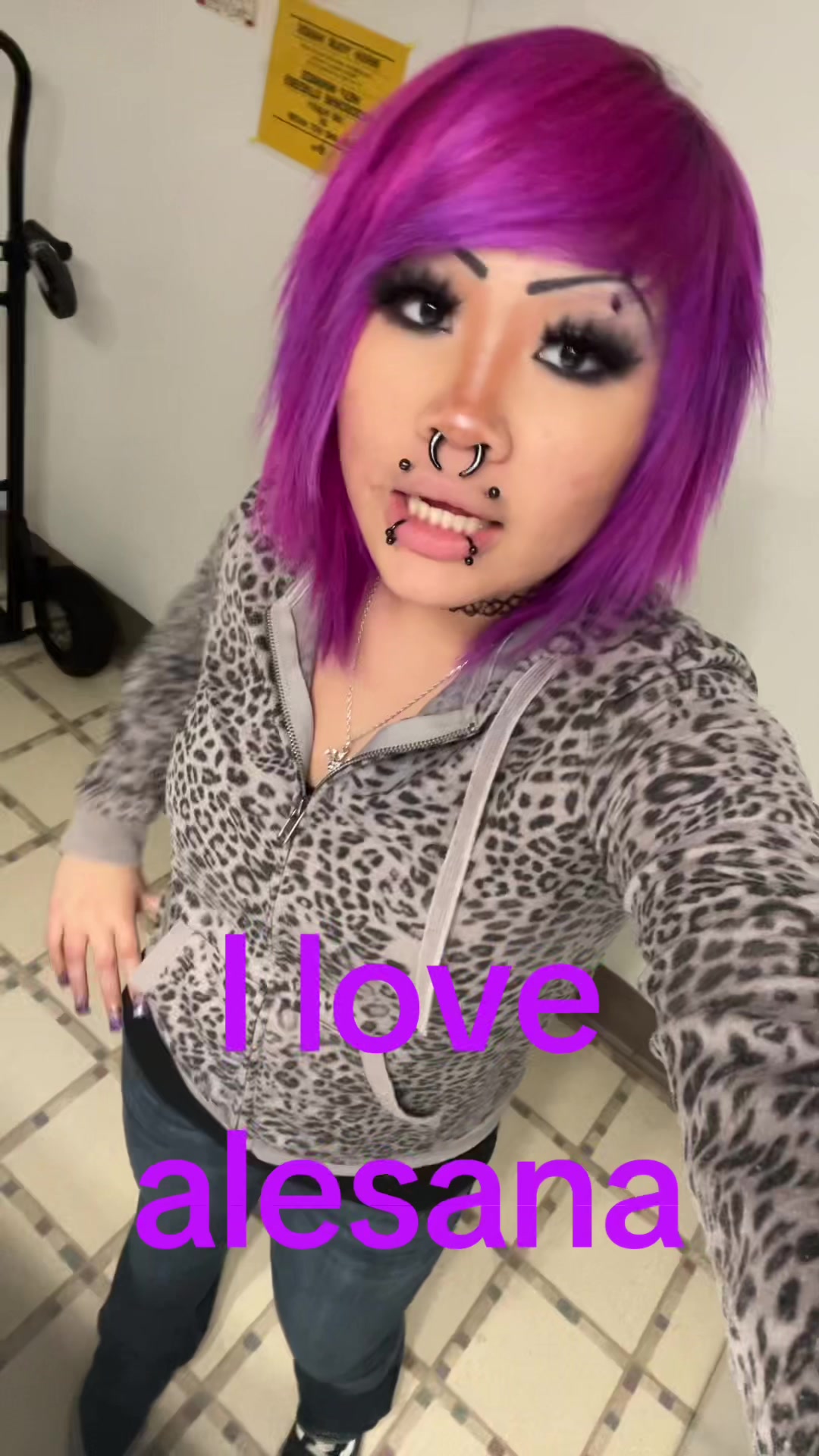 @(=^･&omega;･^=)