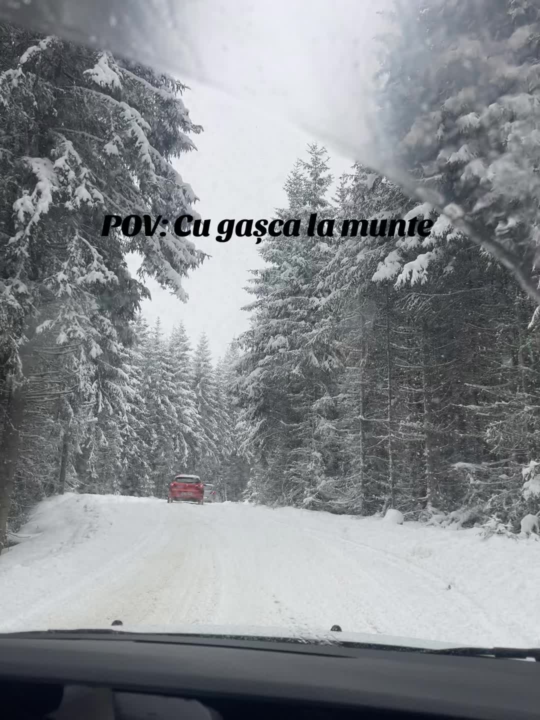 @Veronica Elena Cunța