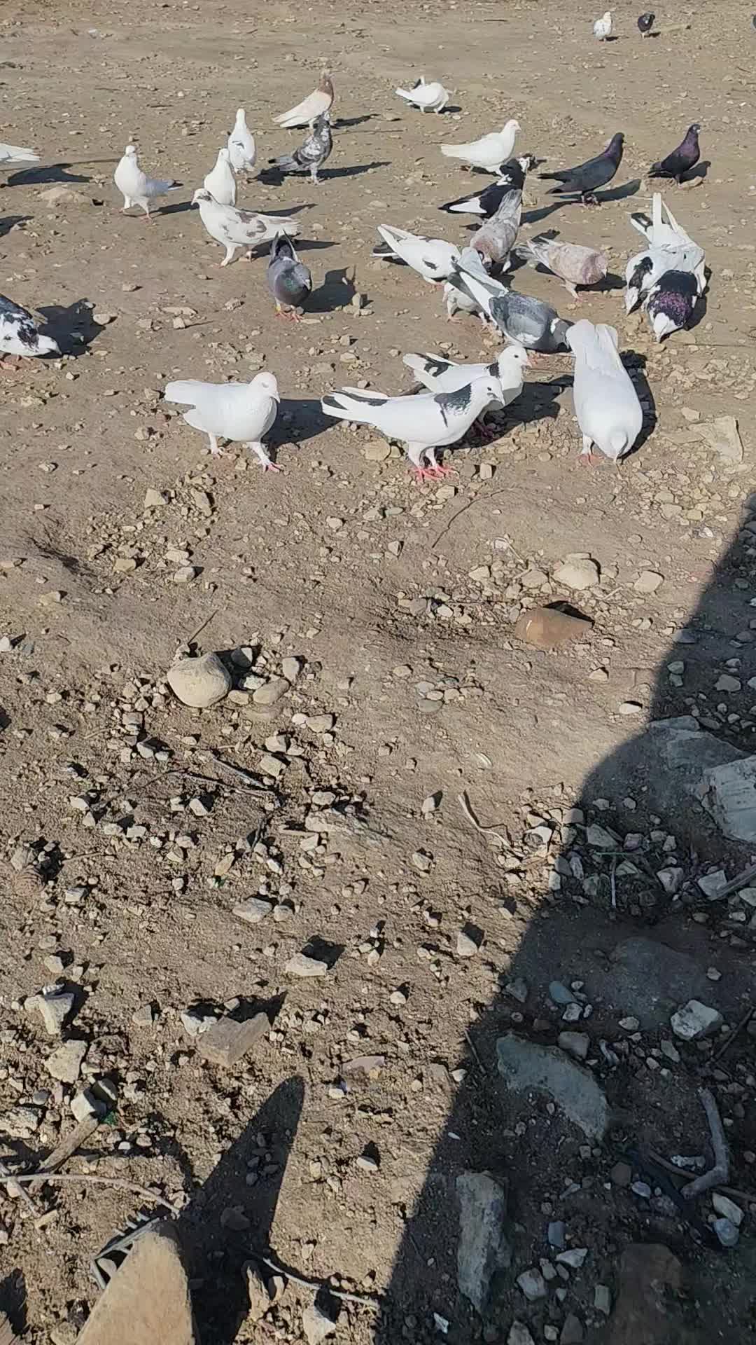@𖤓𝐍𝐔𝐑𝐋𝐀𝐍𖤓&sup3;&sup3;