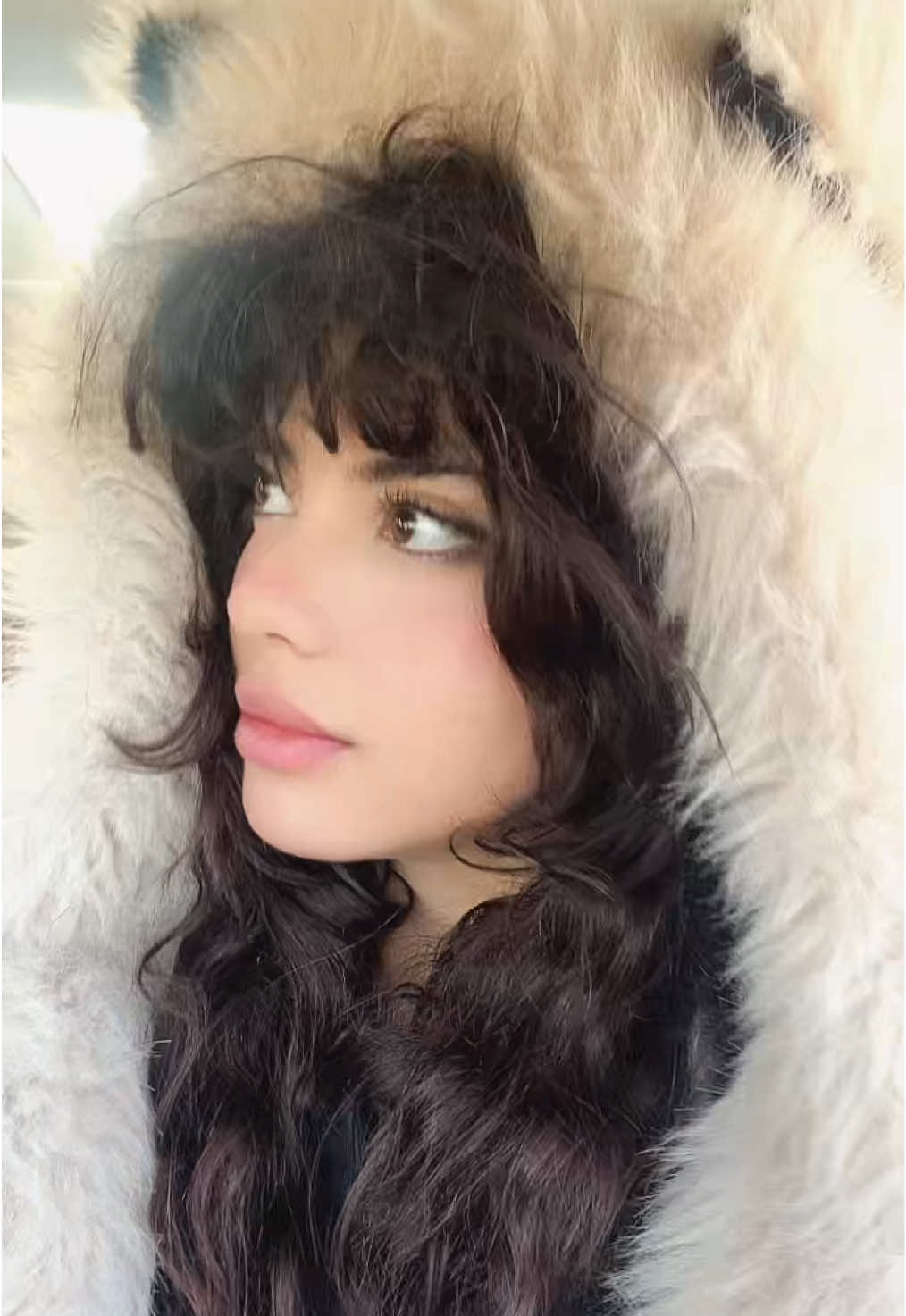 @siminhdy