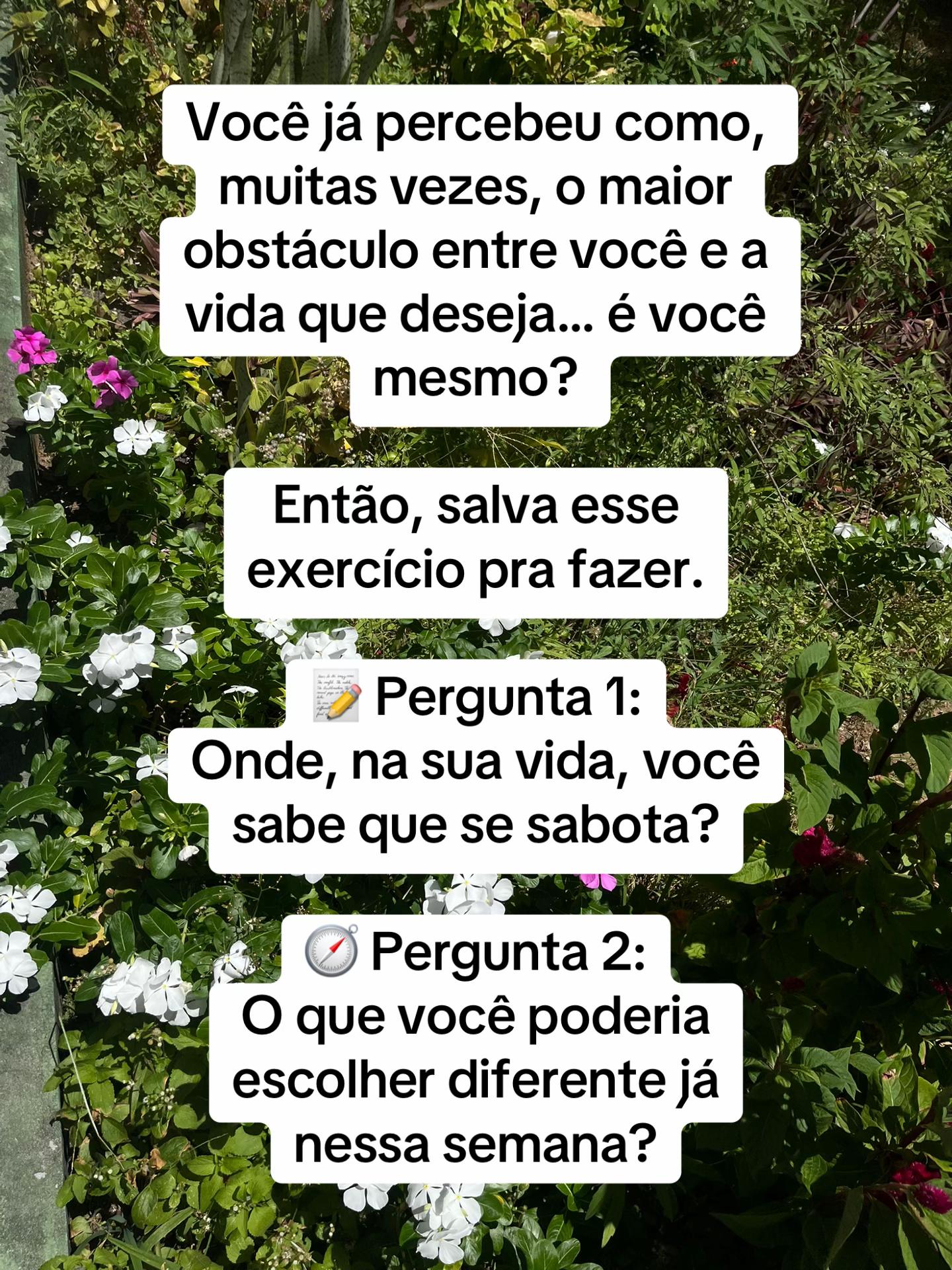 @Vanessa E. Santos | Terapeuta