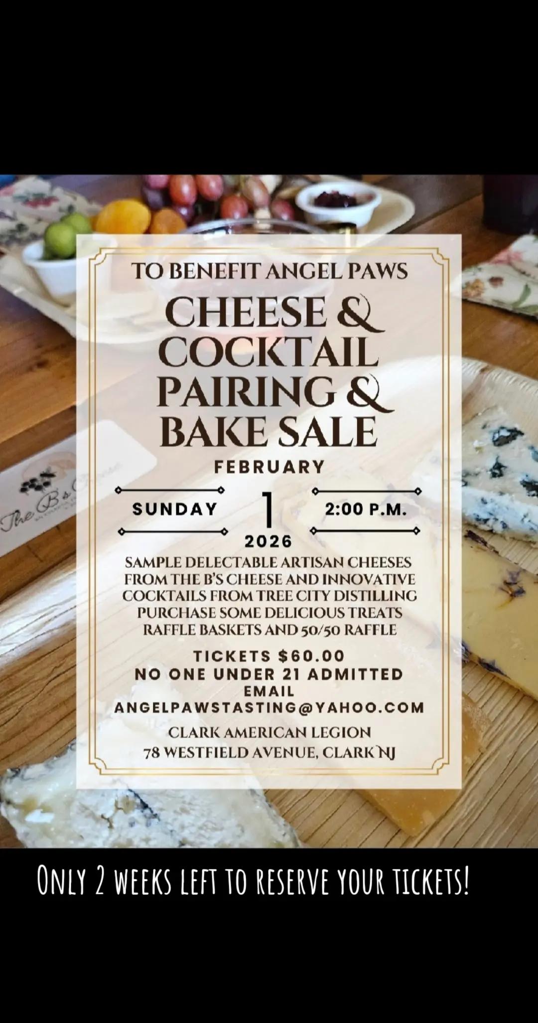 @Angel PAWS