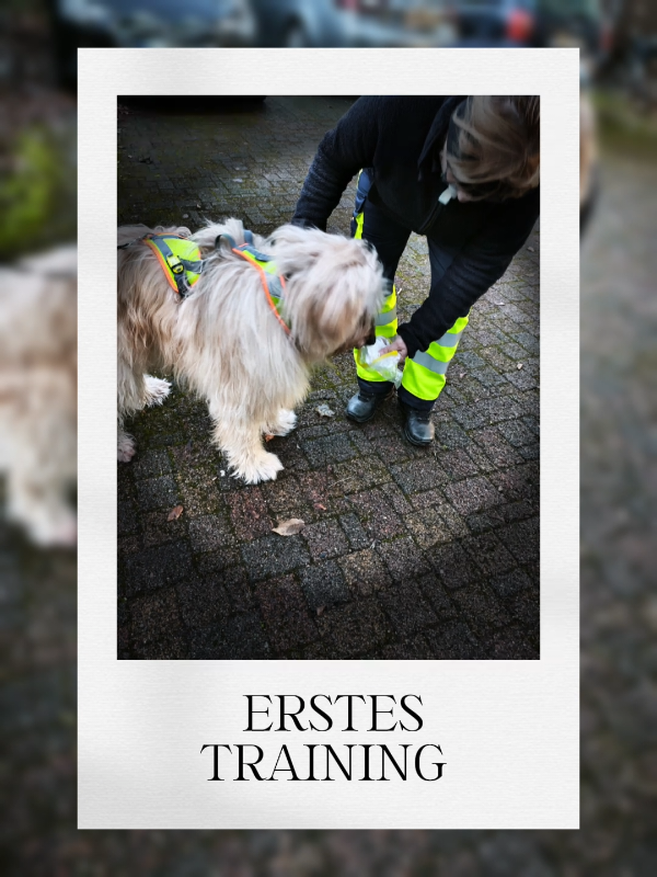 @ARV Suchhundestaffel KS e. V.