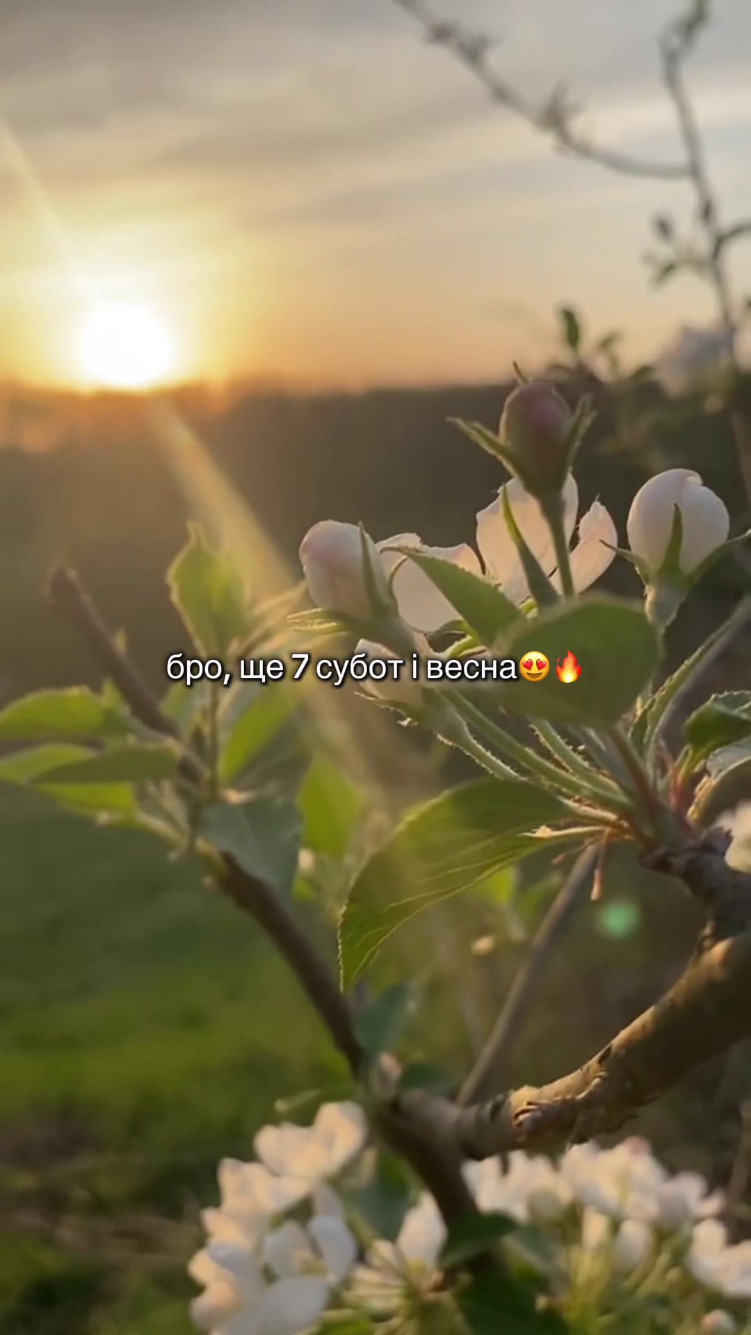 @Ivan Tefledzhuk