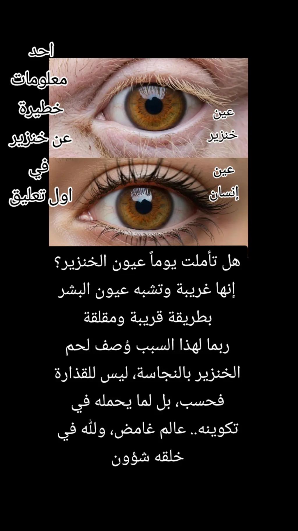 @سليم محتوى خاص بي قصص جميلة