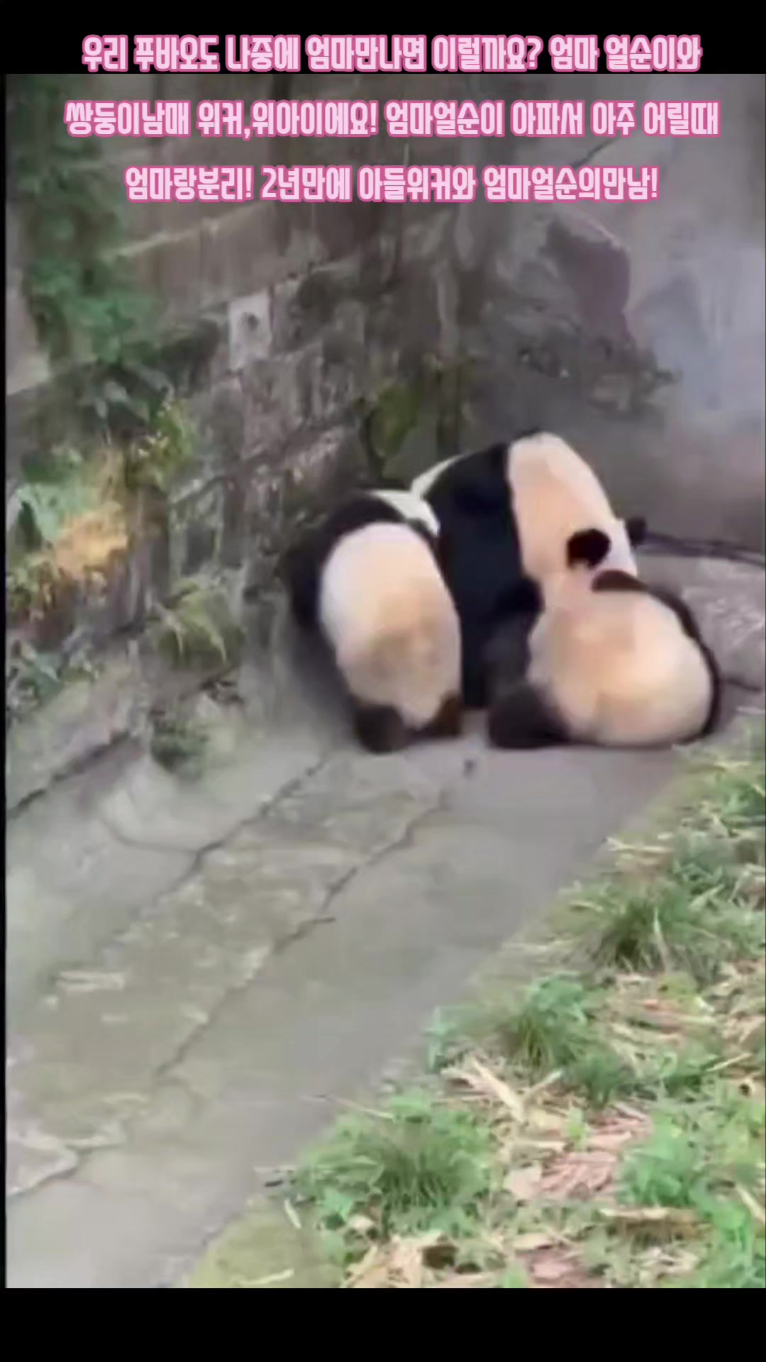@반짝이는비니♡
