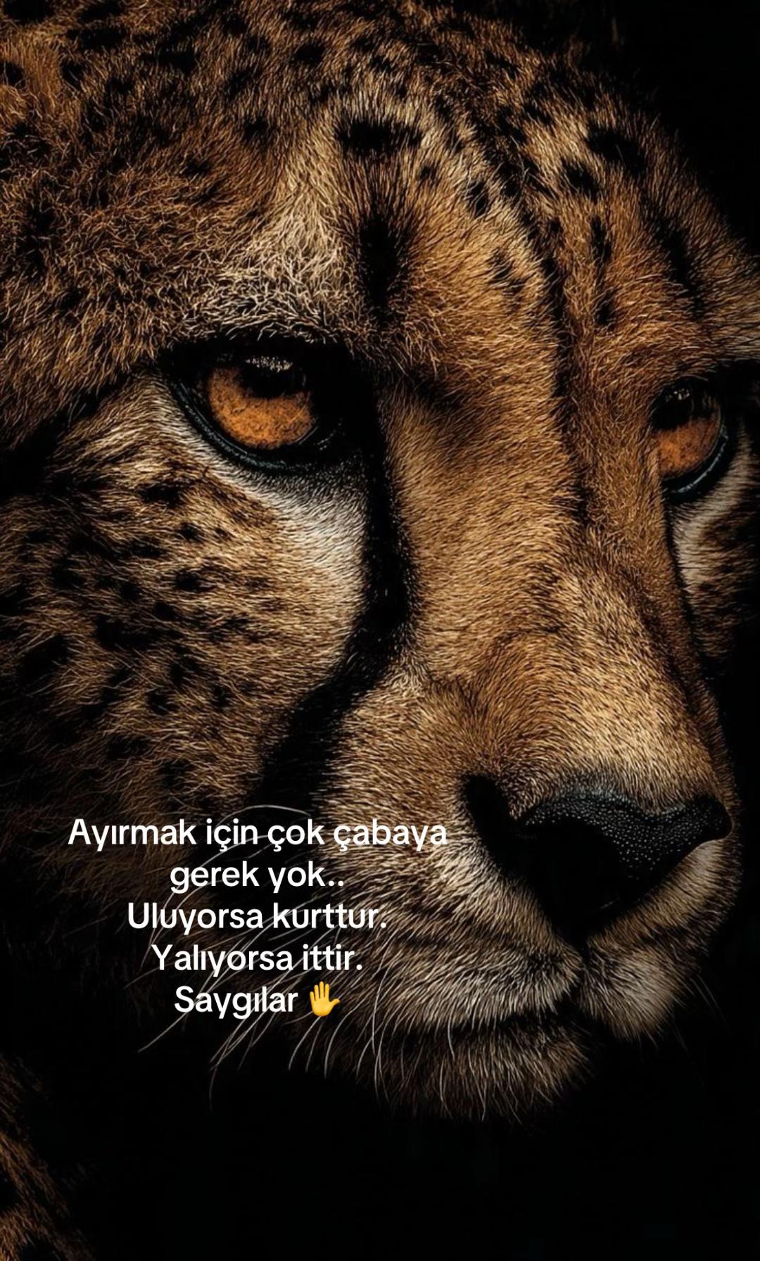 @Atarlı Kadın
