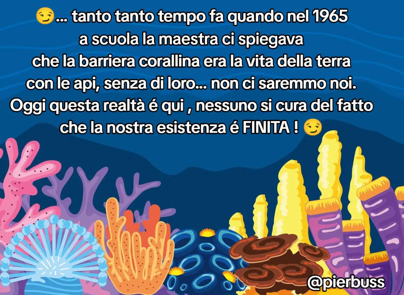 @pierbuss 🇮🇹