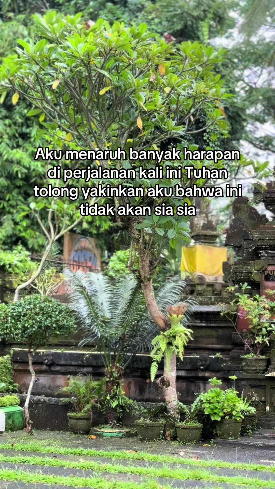 @Tuguna