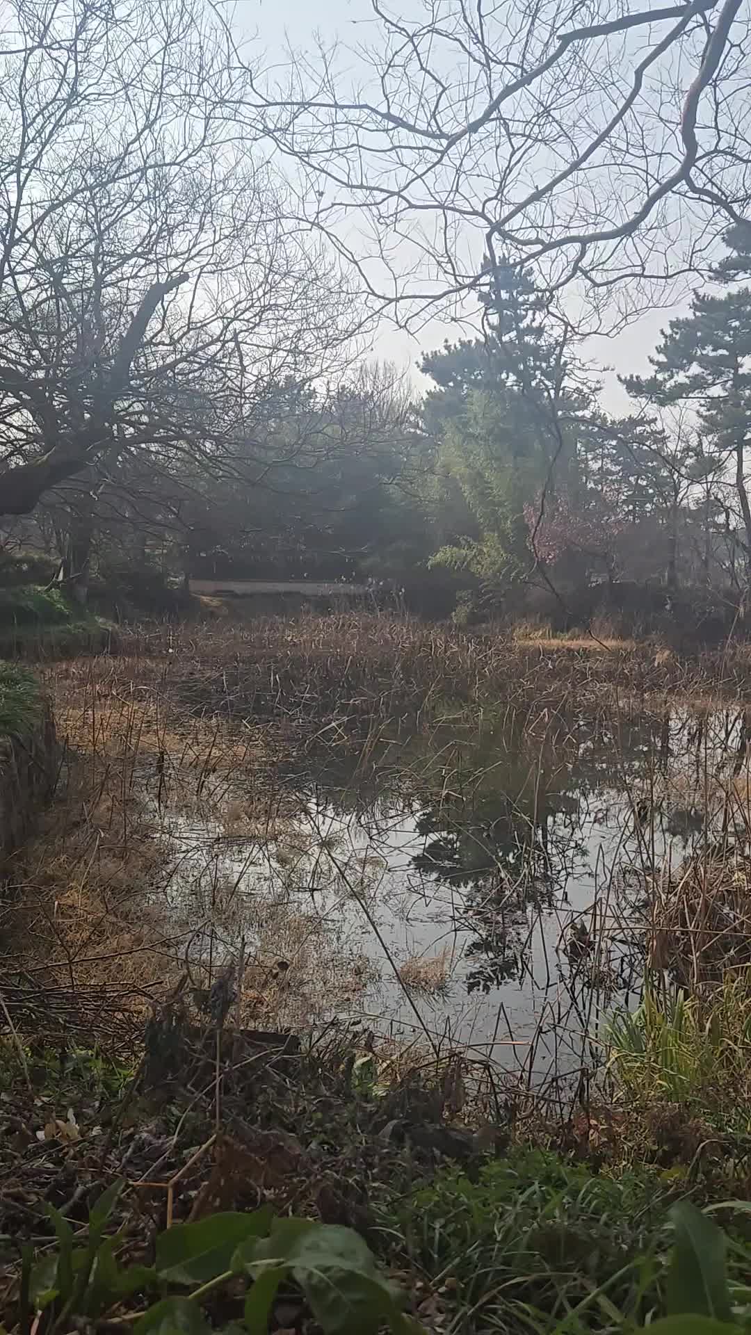 @✨️ 별바라기 ✨