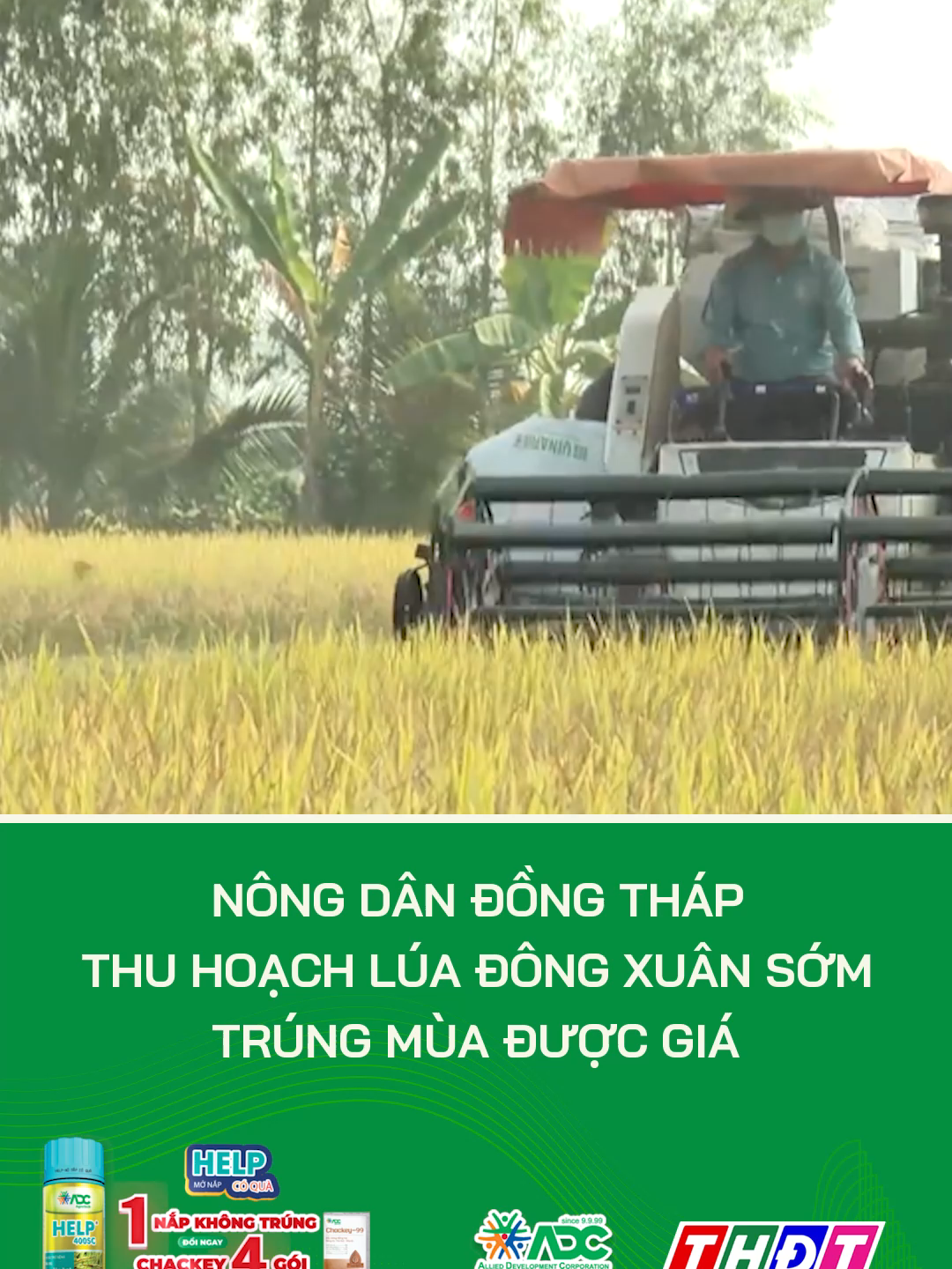 @Truyền H&igrave;nh Đồng Th&aacute;p