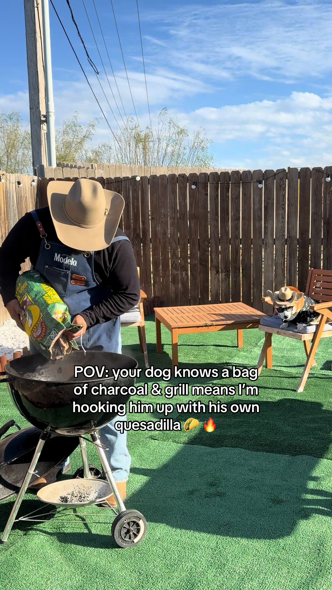@Sammy the Tejano Corgi