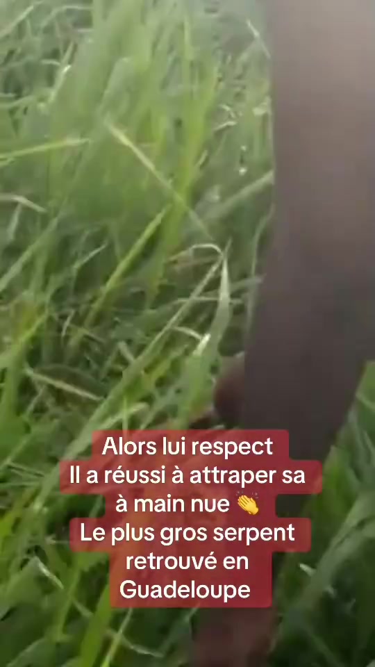 @akmtv97