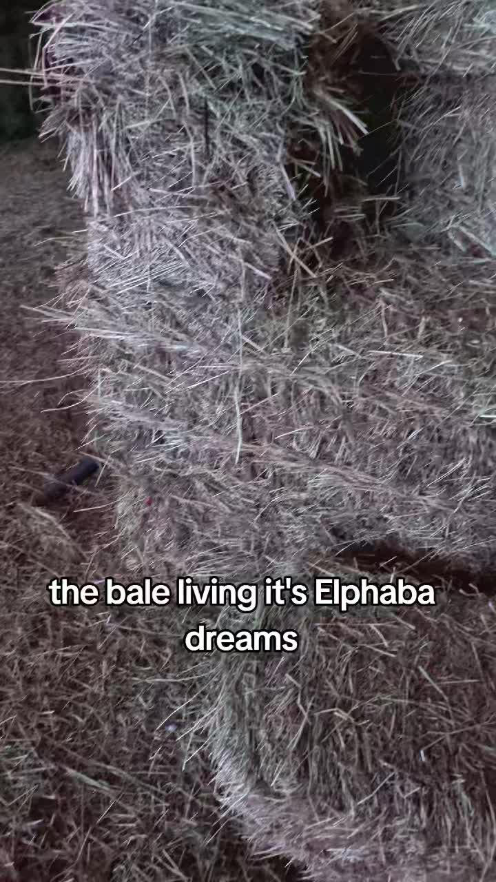 @EquestrianWeirdo