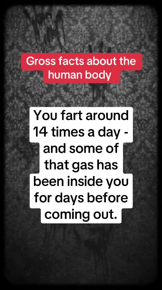 @Daily facts
