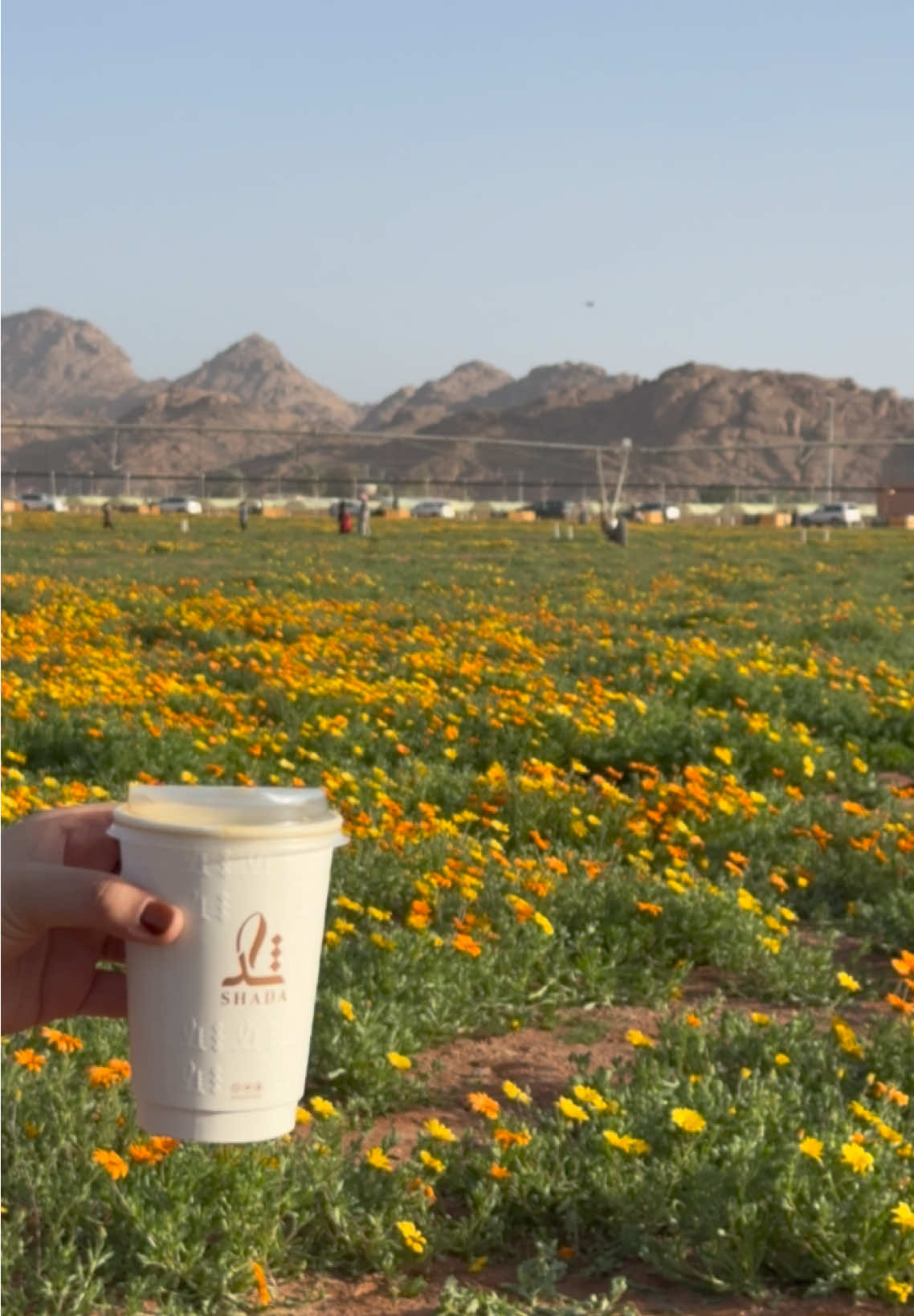 @رغد