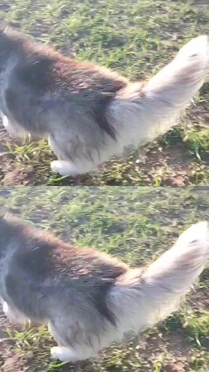 @😎😎 🐏🐏🫣🫣