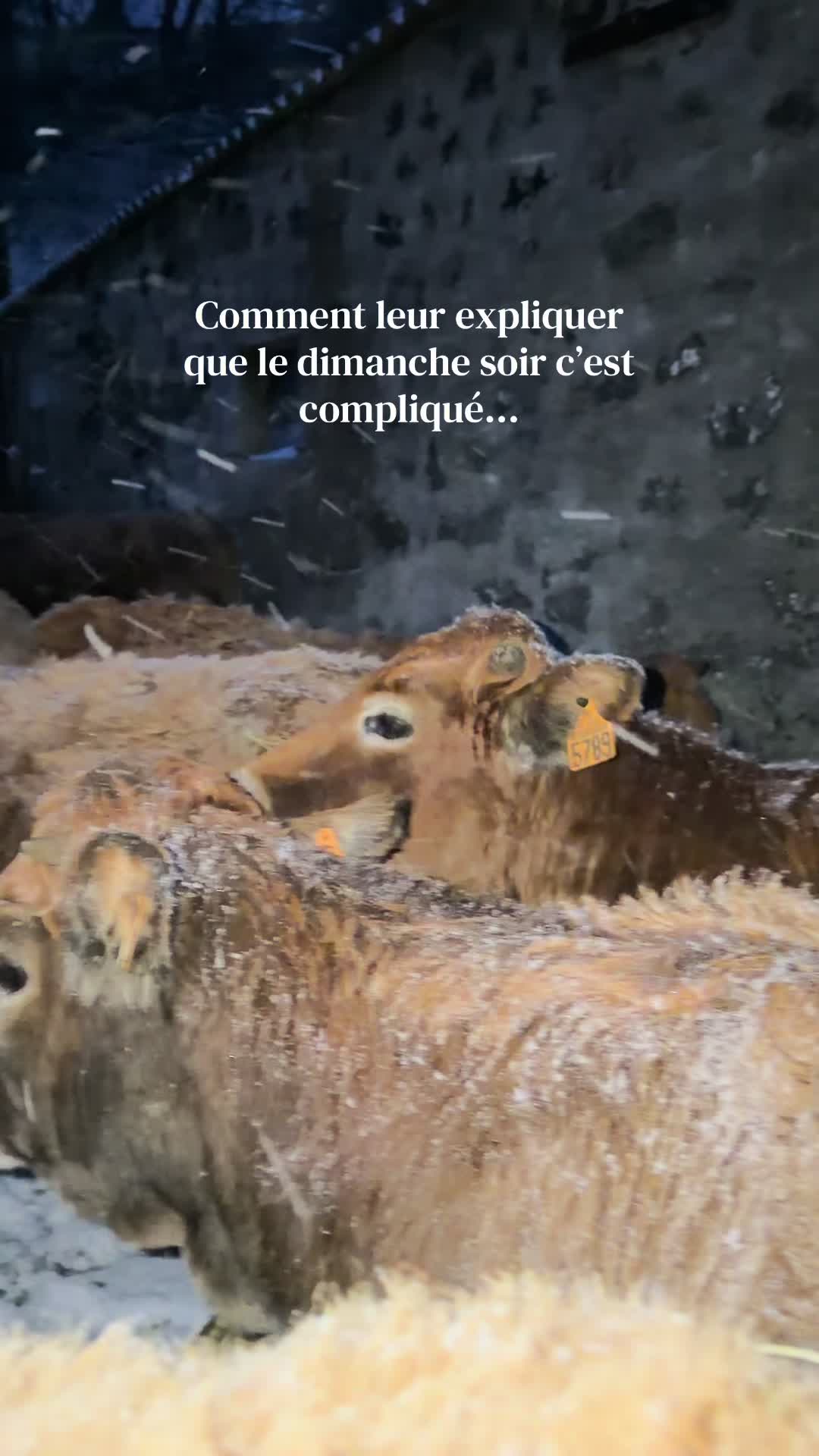 @𝐿𝑒𝓃𝒶👩🏼&zwj;🌾