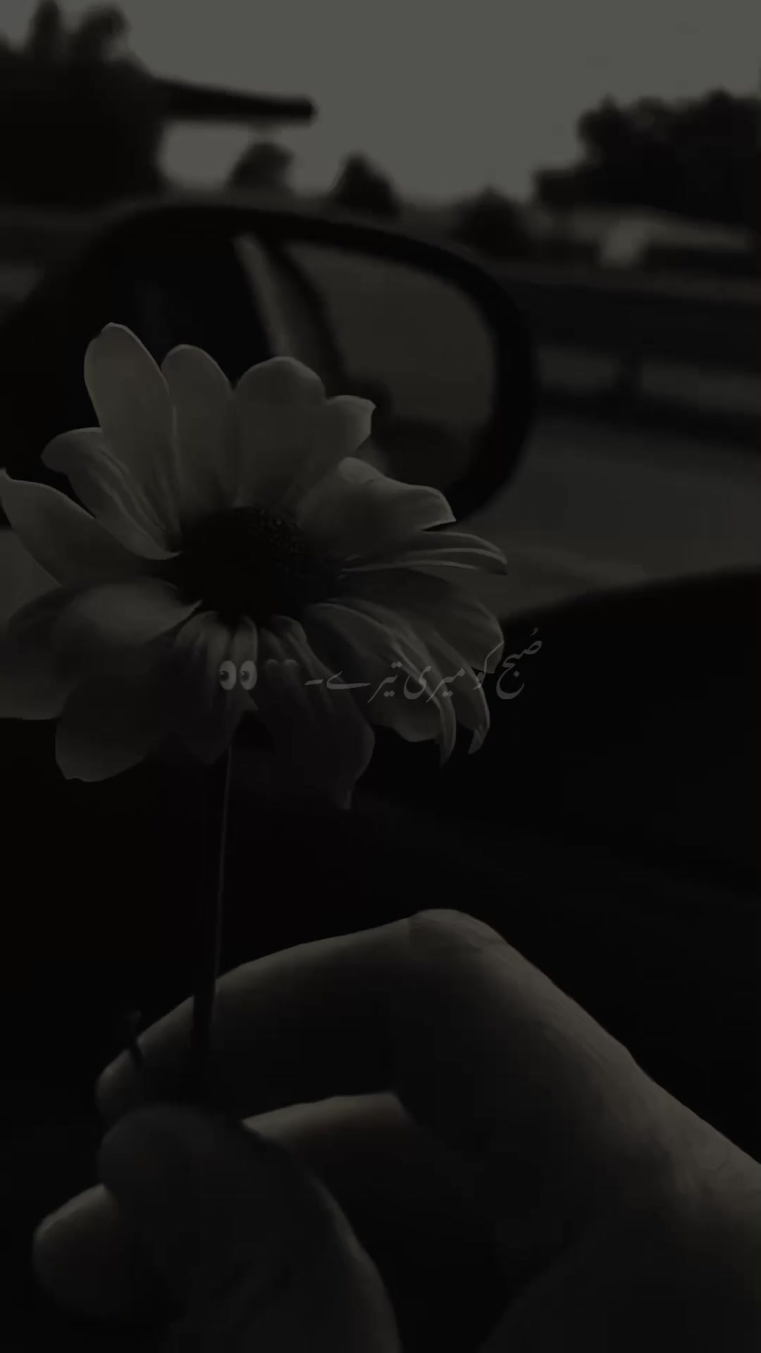@SHEHZADA 🫀🥰