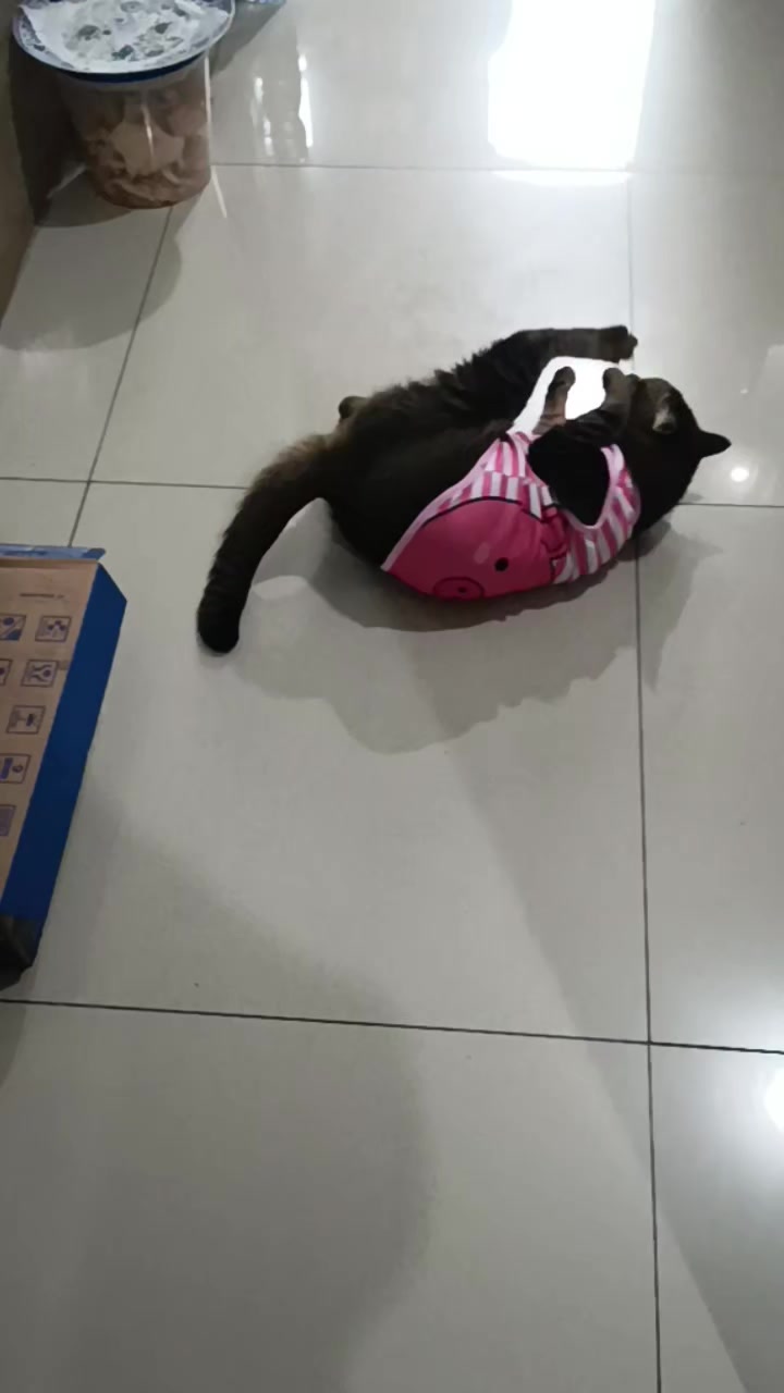 @Haheng Maru