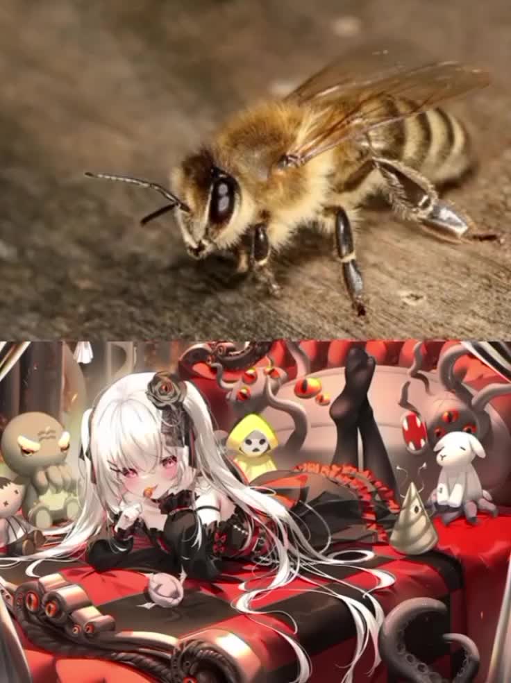 @𝐓𝐡𝐞 𝐒𝐭𝐫𝐚𝐧𝐠𝐞𝐫(?)