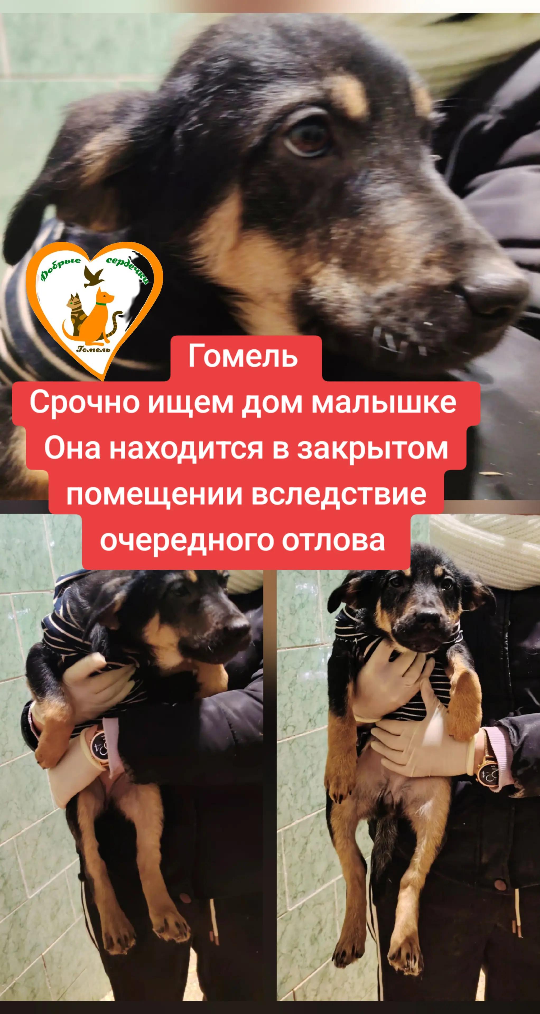 @Марина