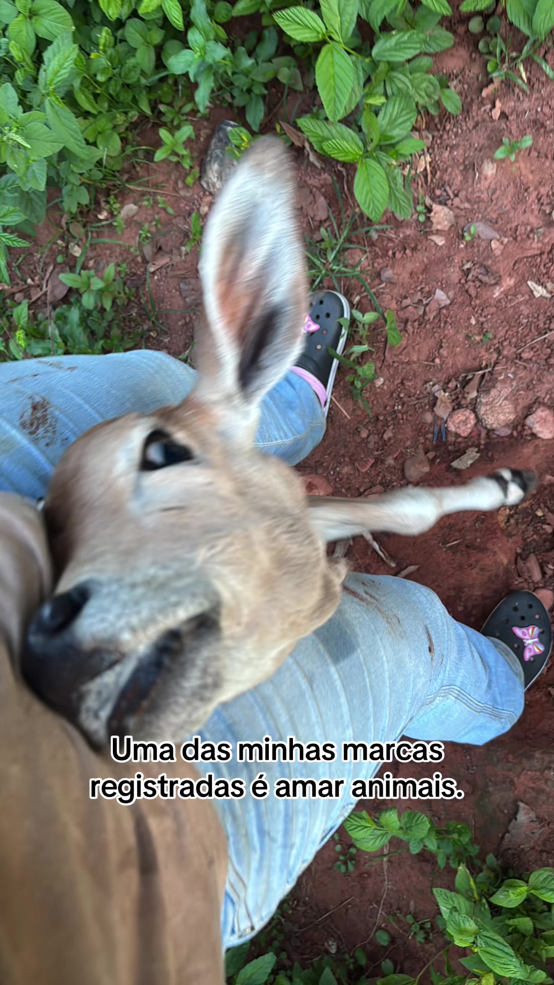 @Tavares
