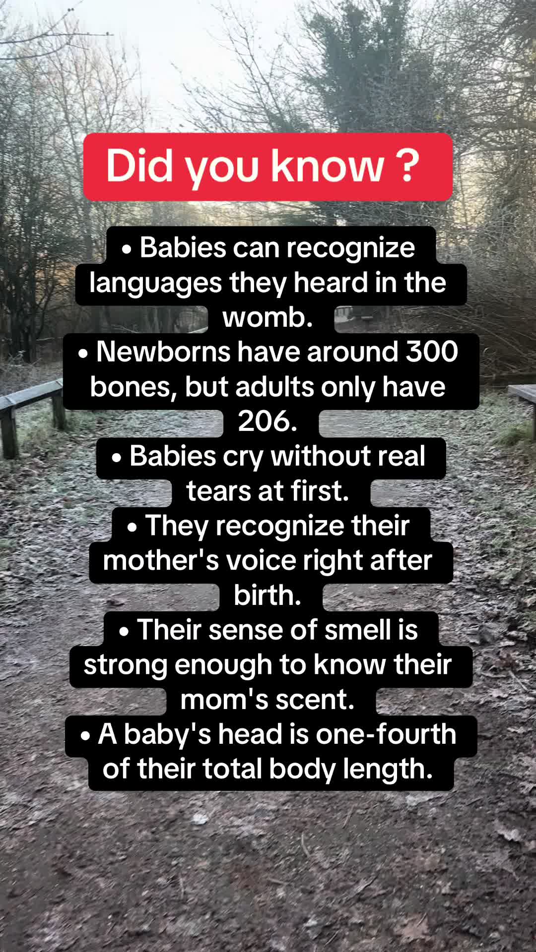 @Daily facts