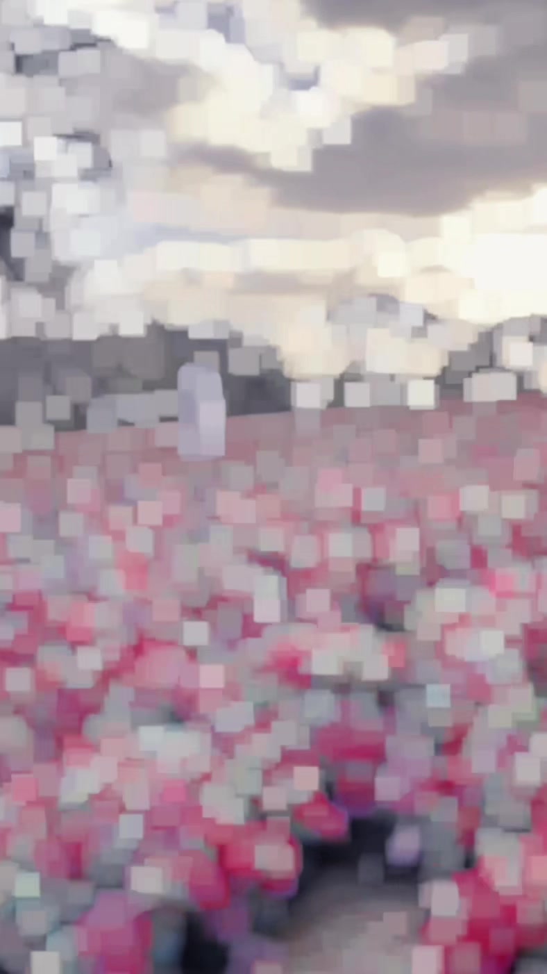 @𝕽𝖆𝖏𝖎𝖇࿐