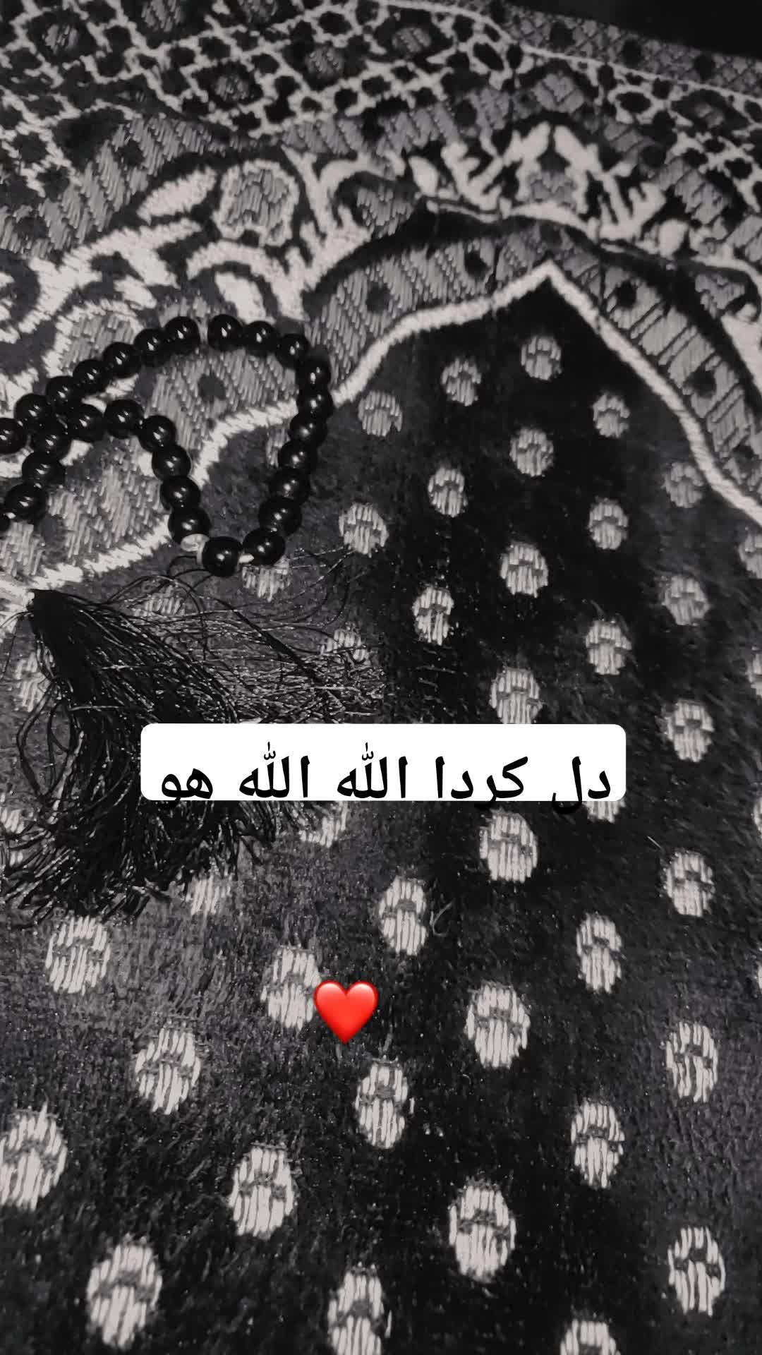 @AlishaRiaz_FanPage