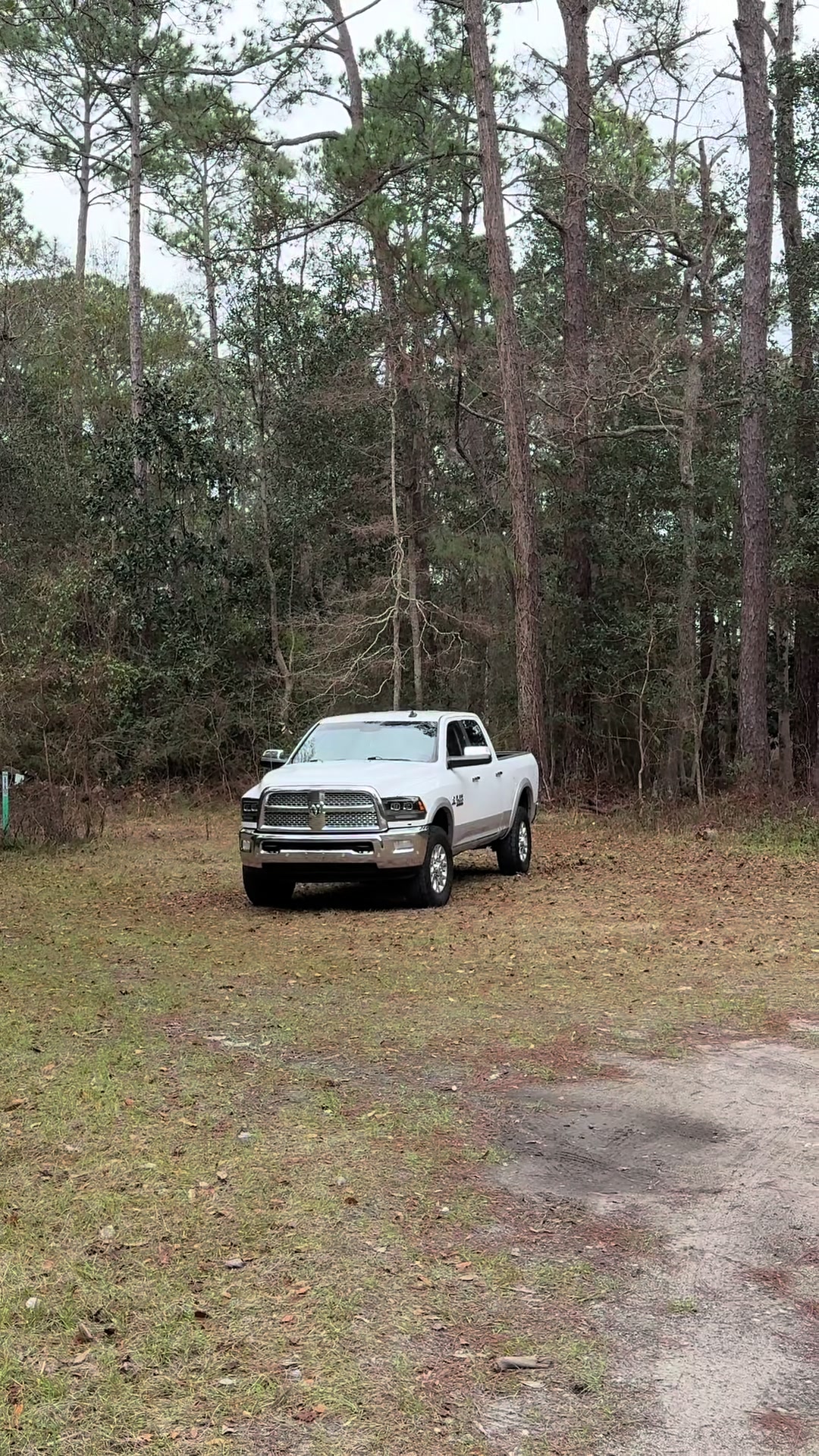 @That_Green_rado