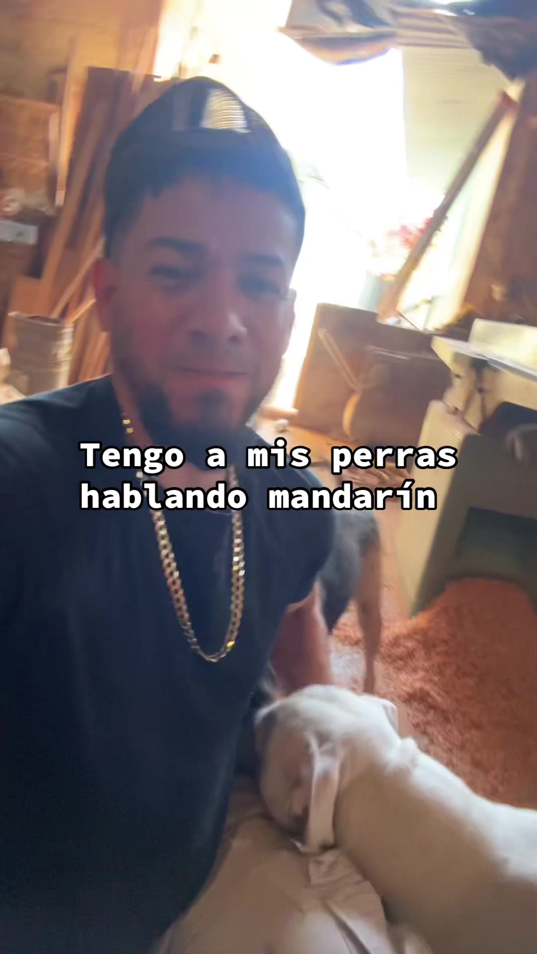 @Rey Sa&uacute;l 👑🦁🍀